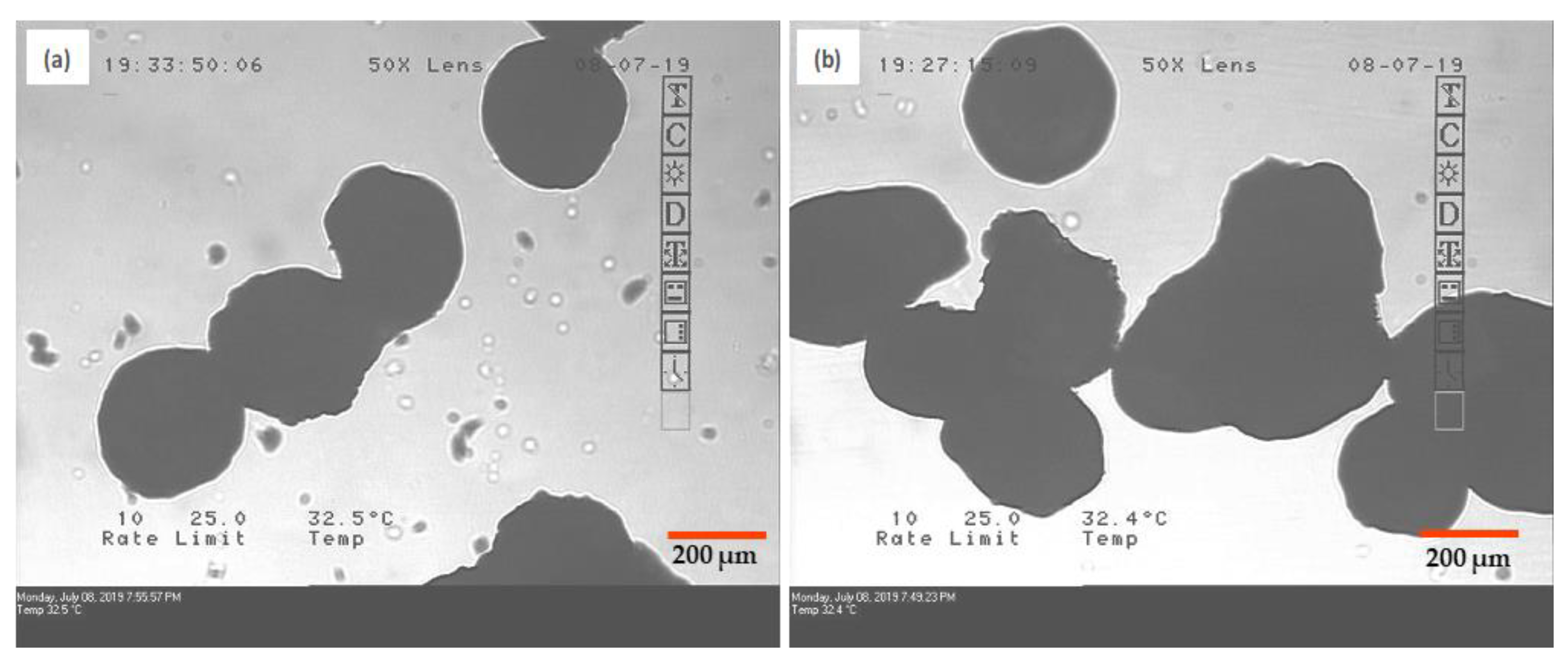Pharmaceutics 12 01015 g004