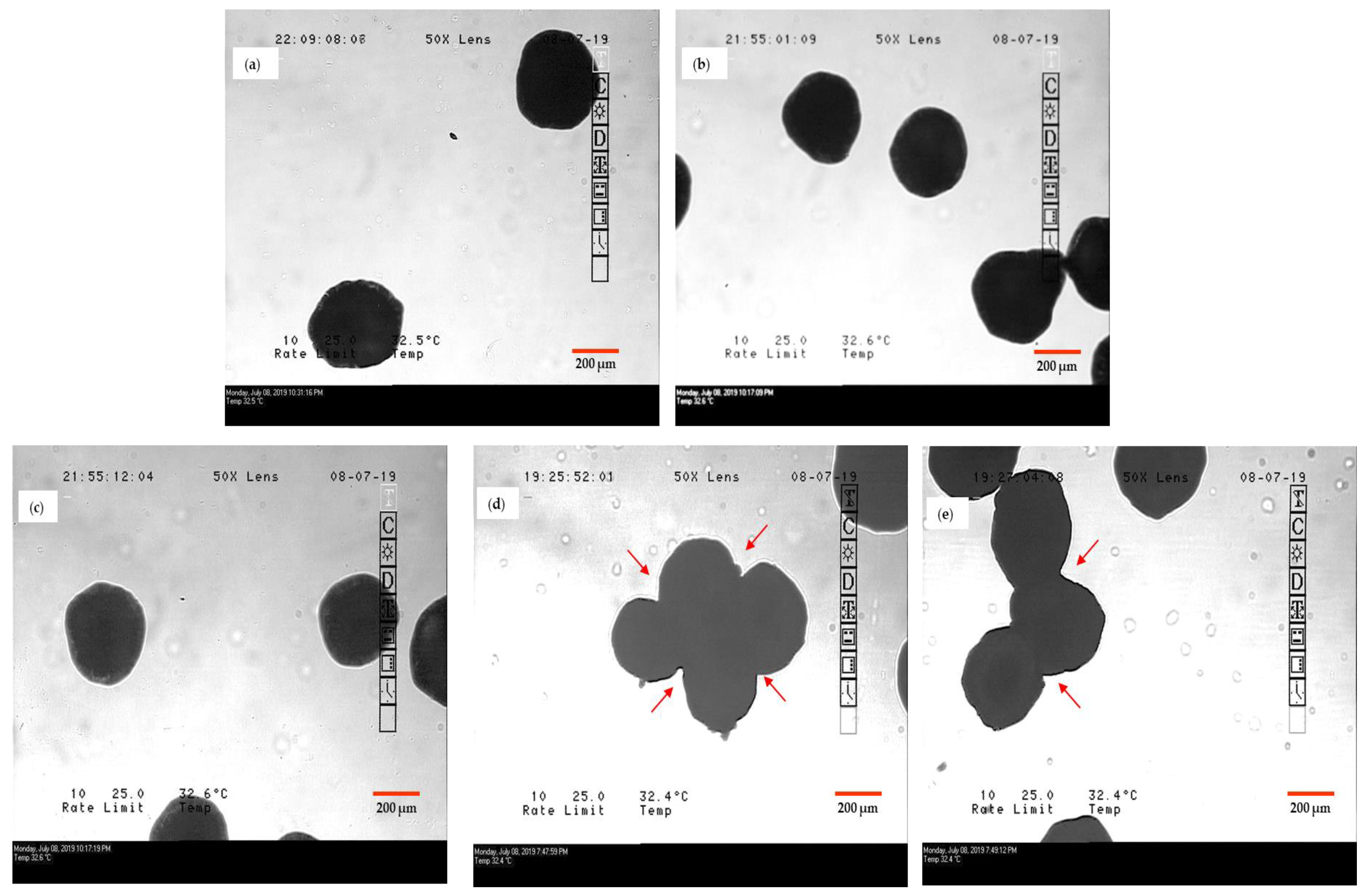 Pharmaceutics 12 01015 g005