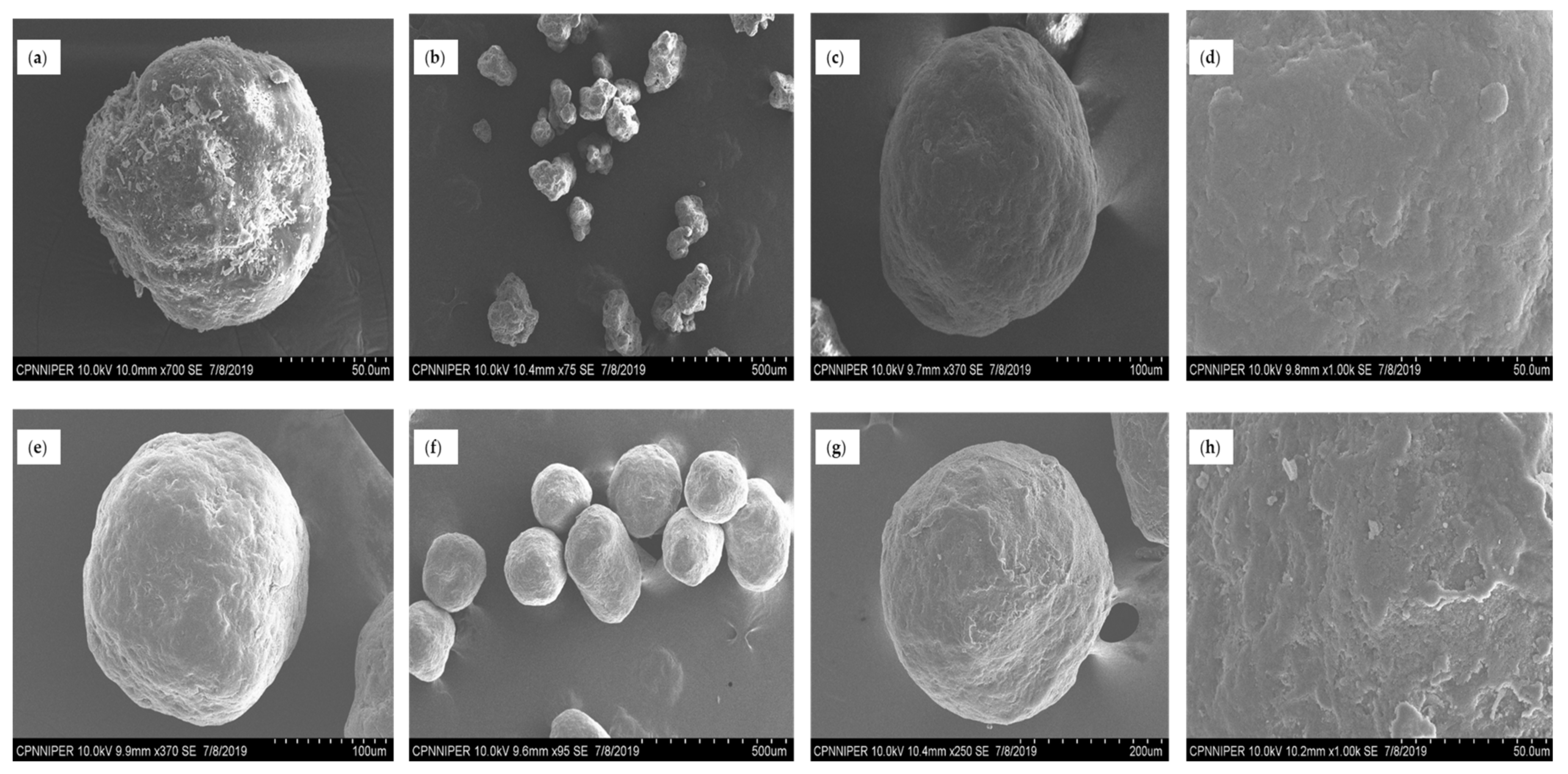 Pharmaceutics 12 01015 g006