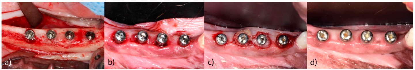 Pharmaceutics 12 01016 g001