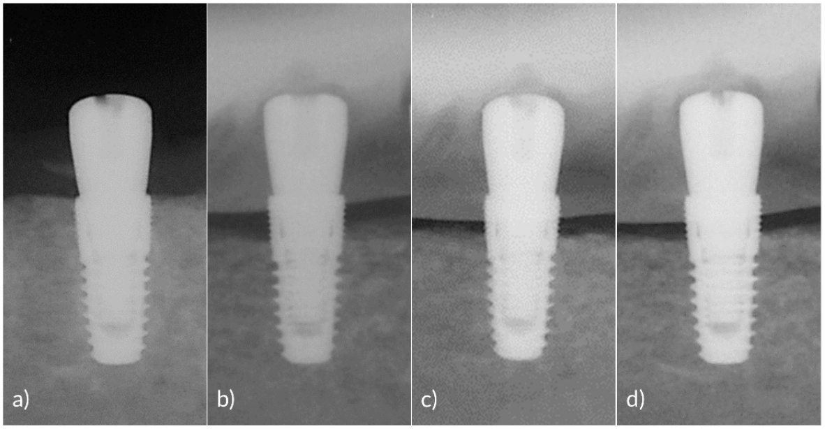 Pharmaceutics 12 01016 g002
