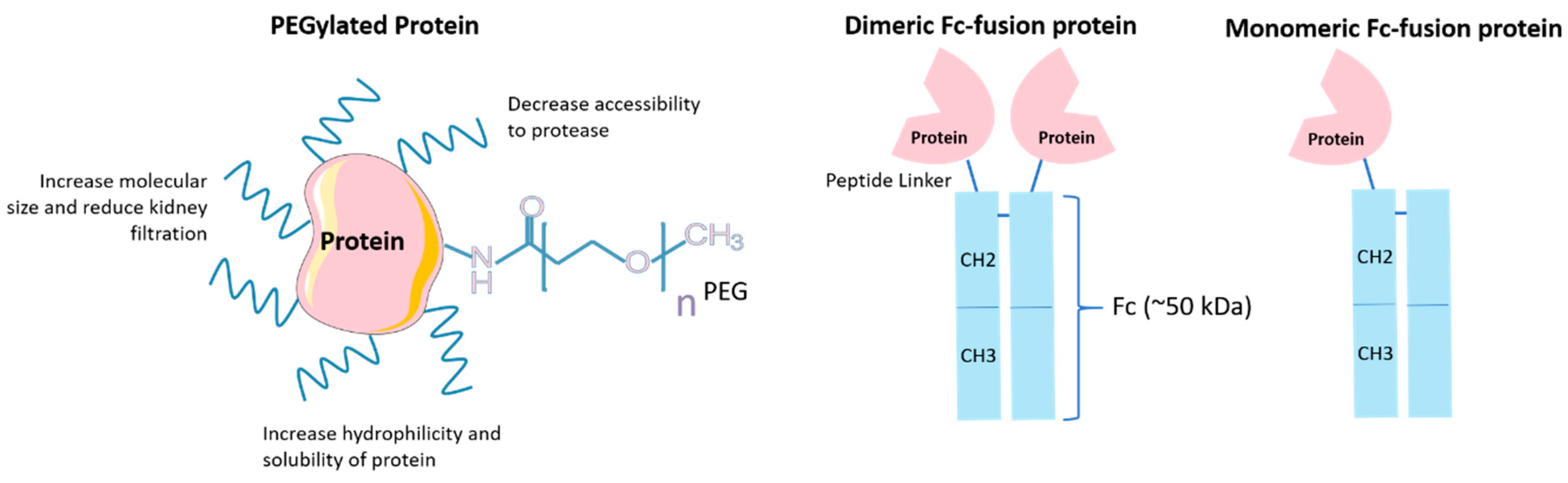 Pharmaceutics 12 01025 g004
