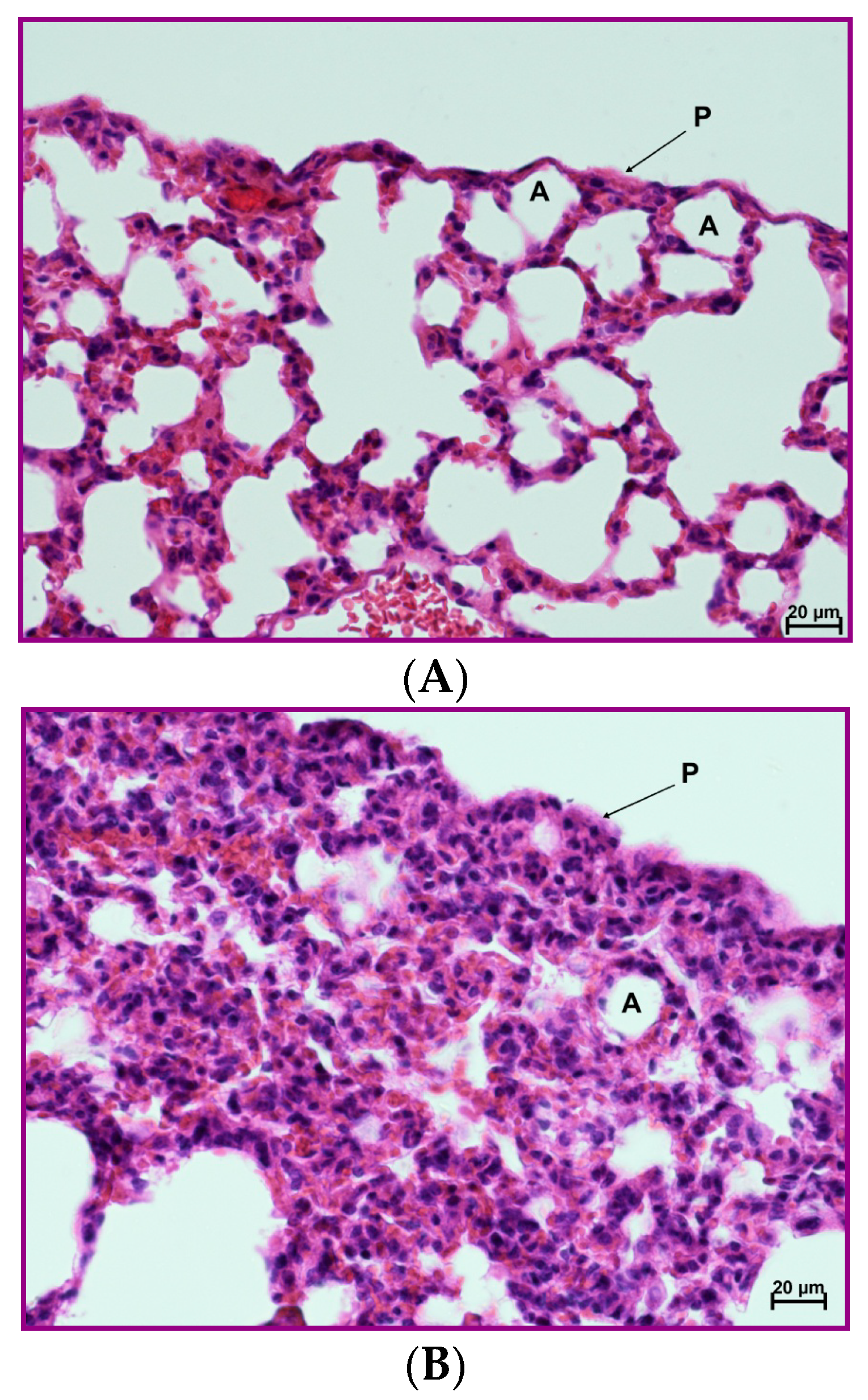 Pharmaceutics 12 01030 g011a