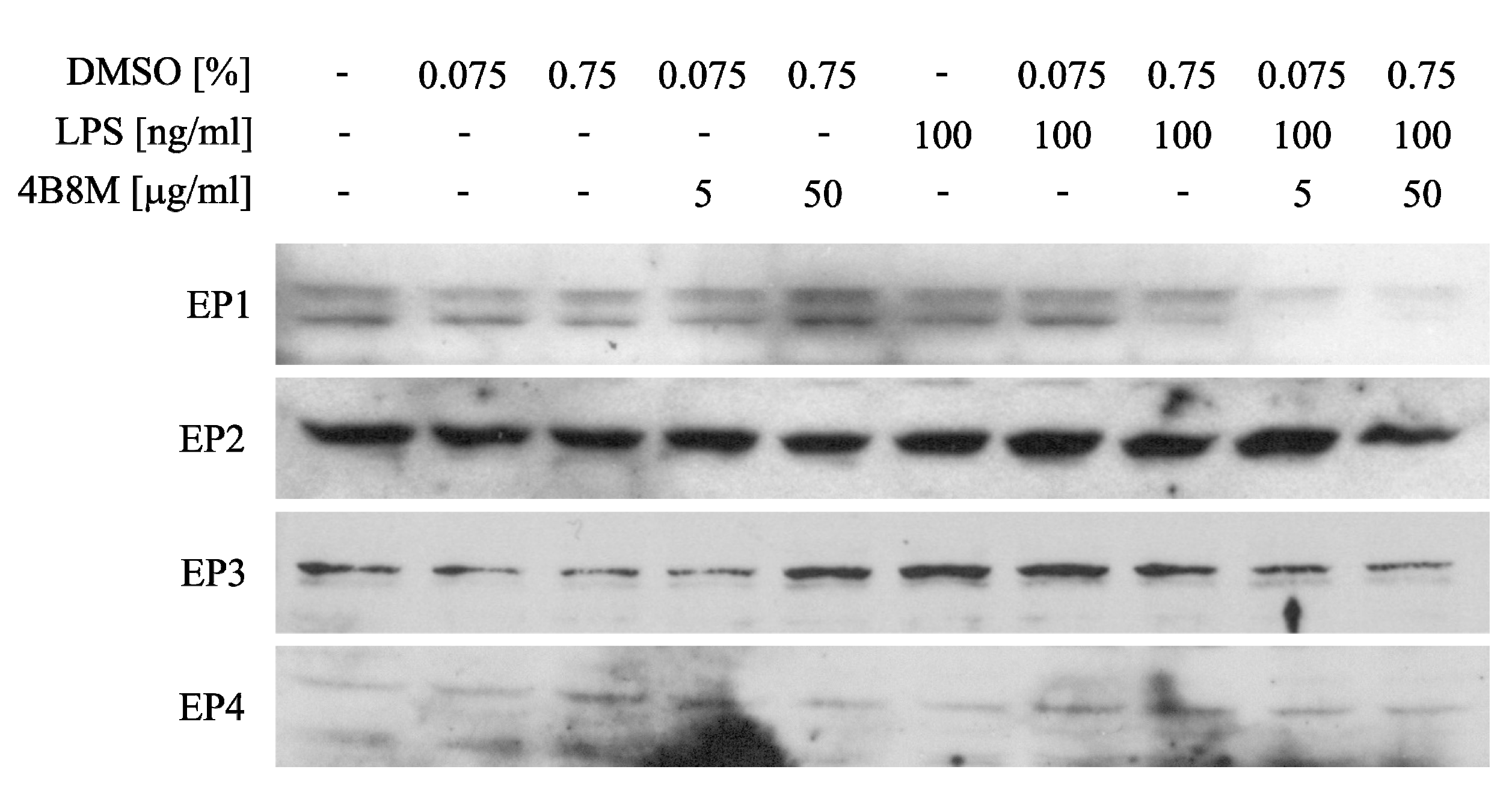 Pharmaceutics 12 01030 g014