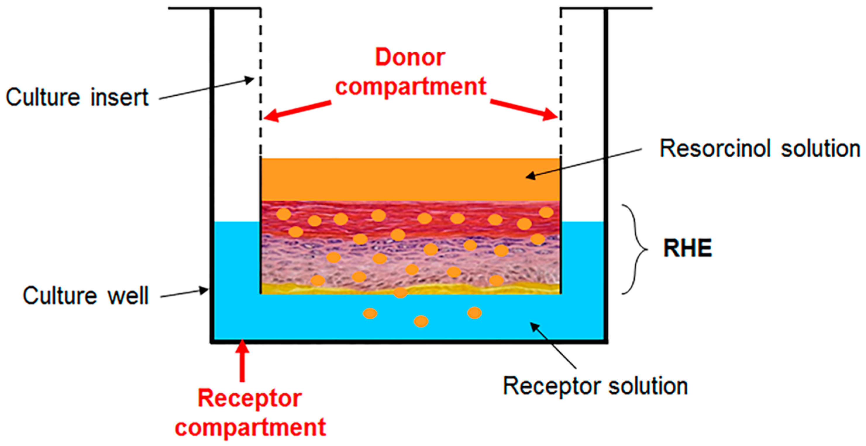 Pharmaceutics 12 01041 g001