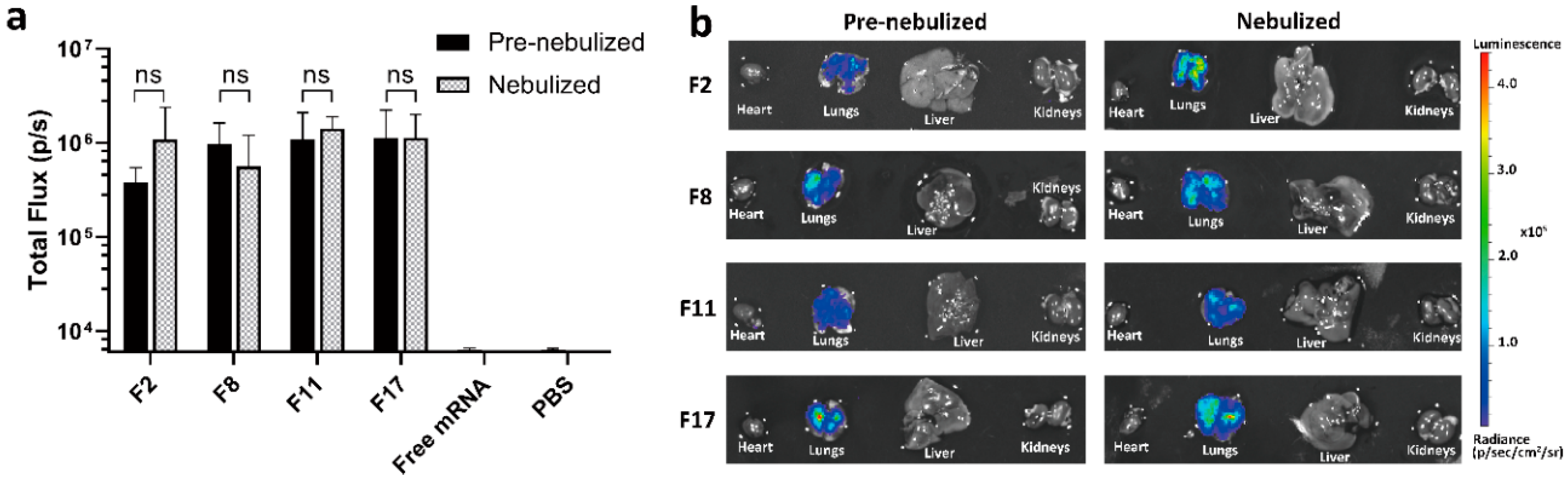 Pharmaceutics 12 01042 g004