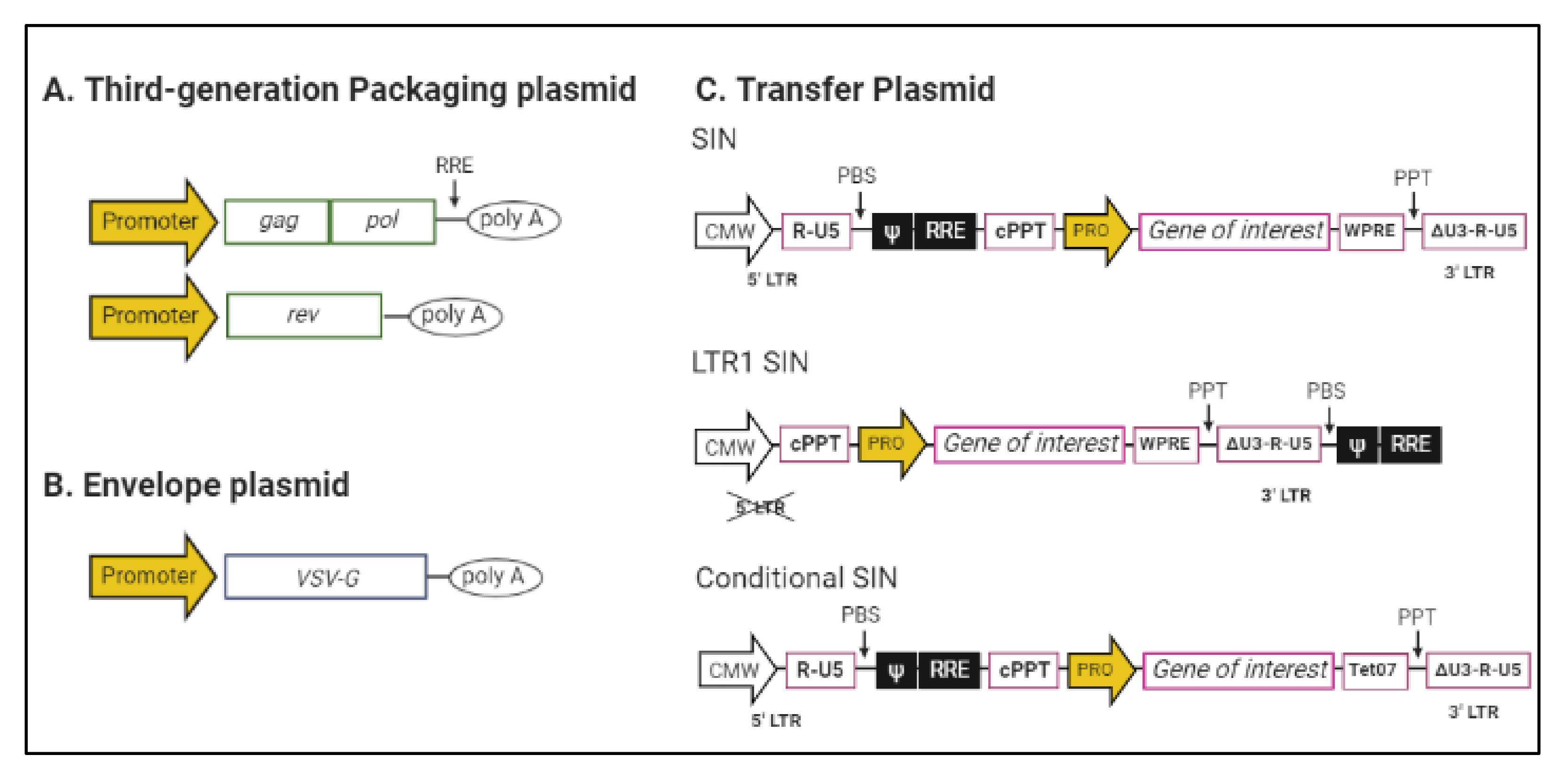 Pharmaceutics 12 01051 g001