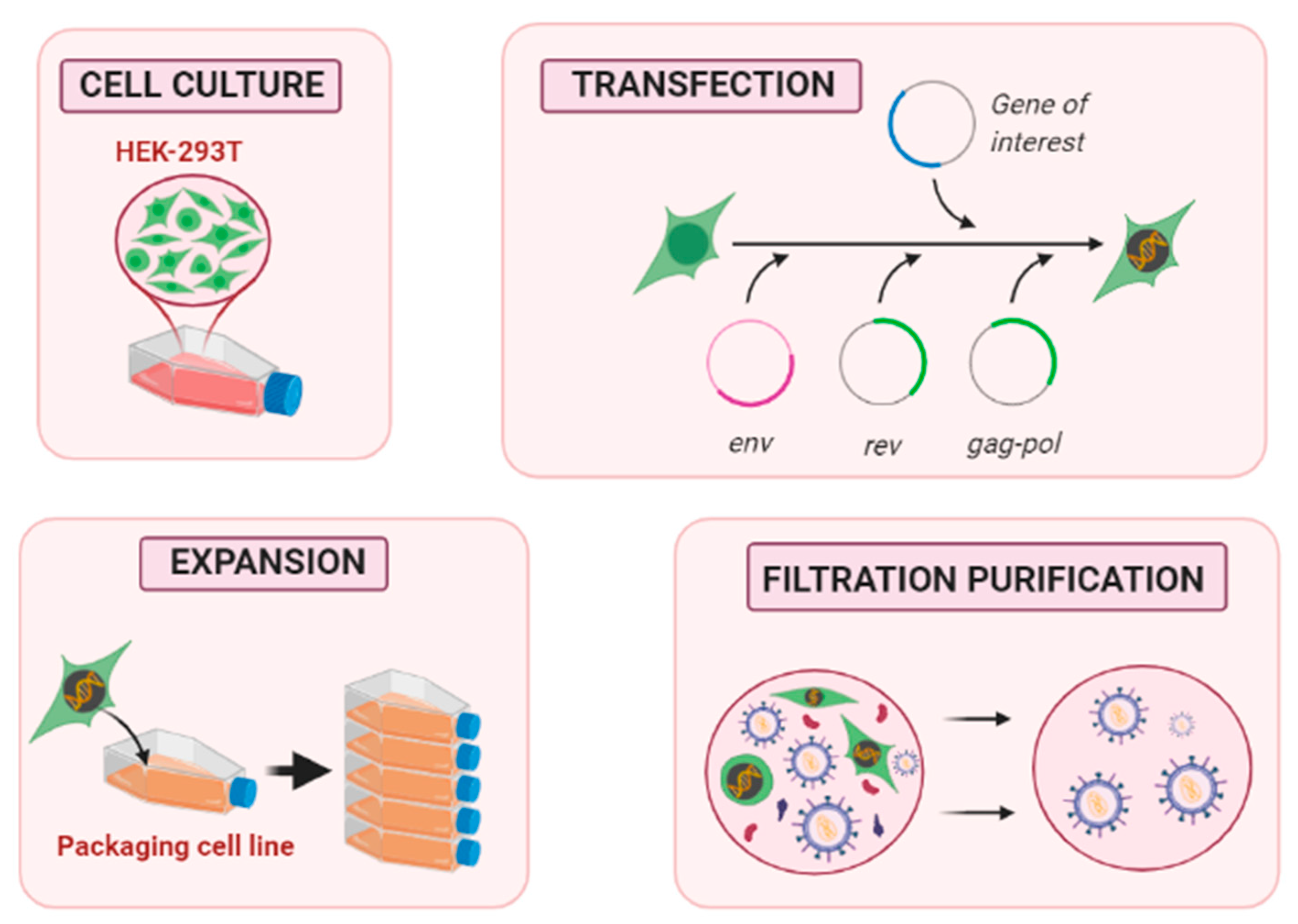 Pharmaceutics 12 01051 g003