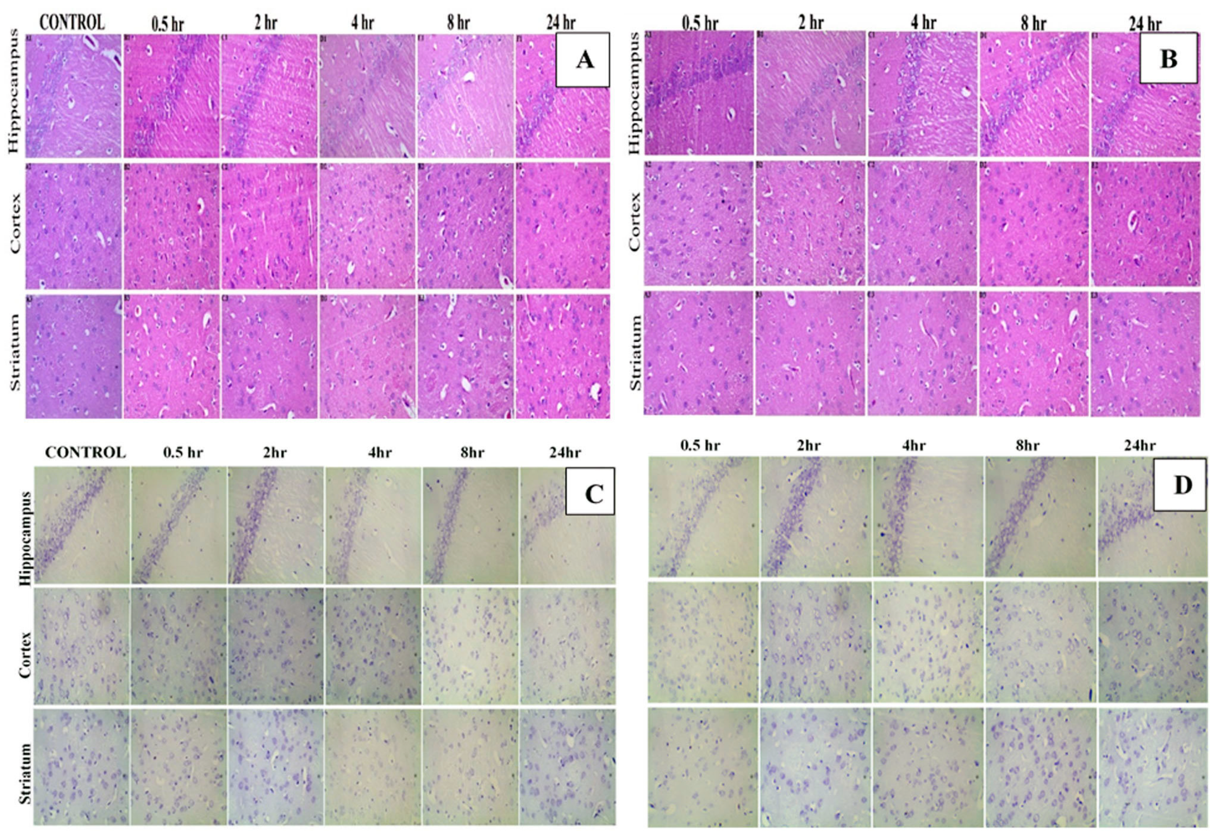 Pharmaceutics 12 01059 g009
