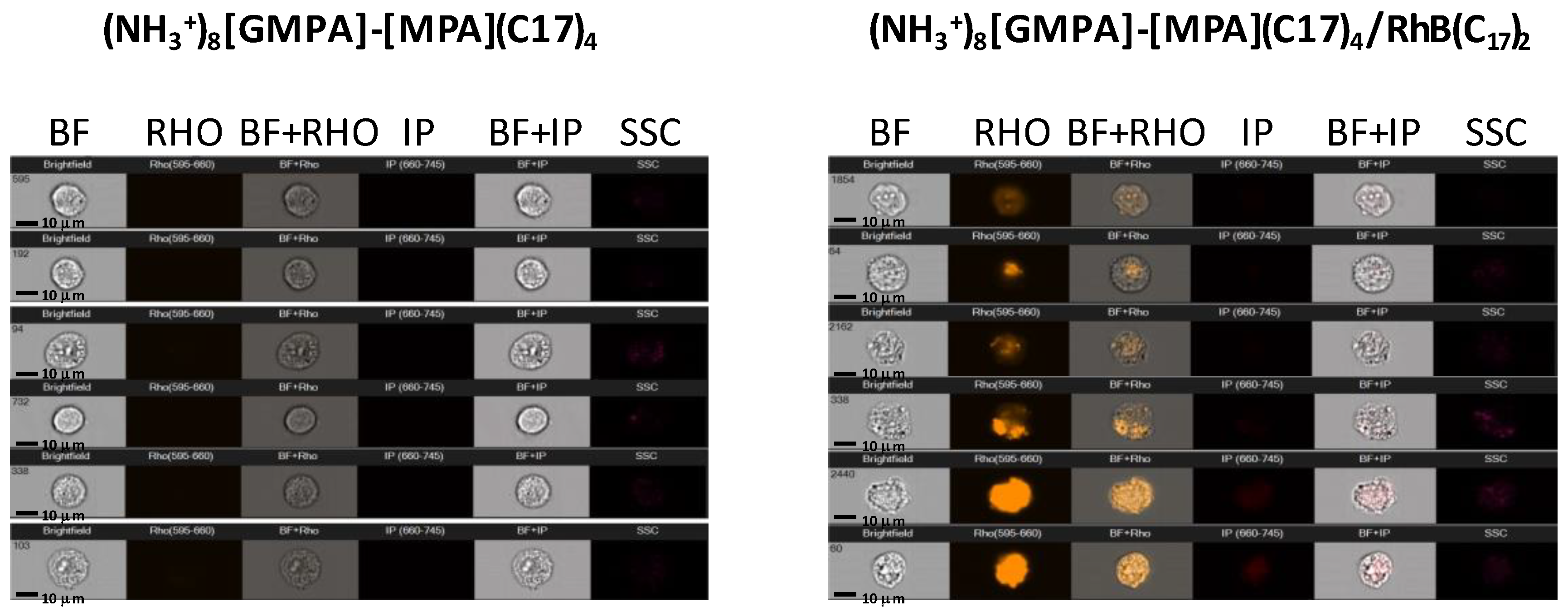 Pharmaceutics 12 01062 g008