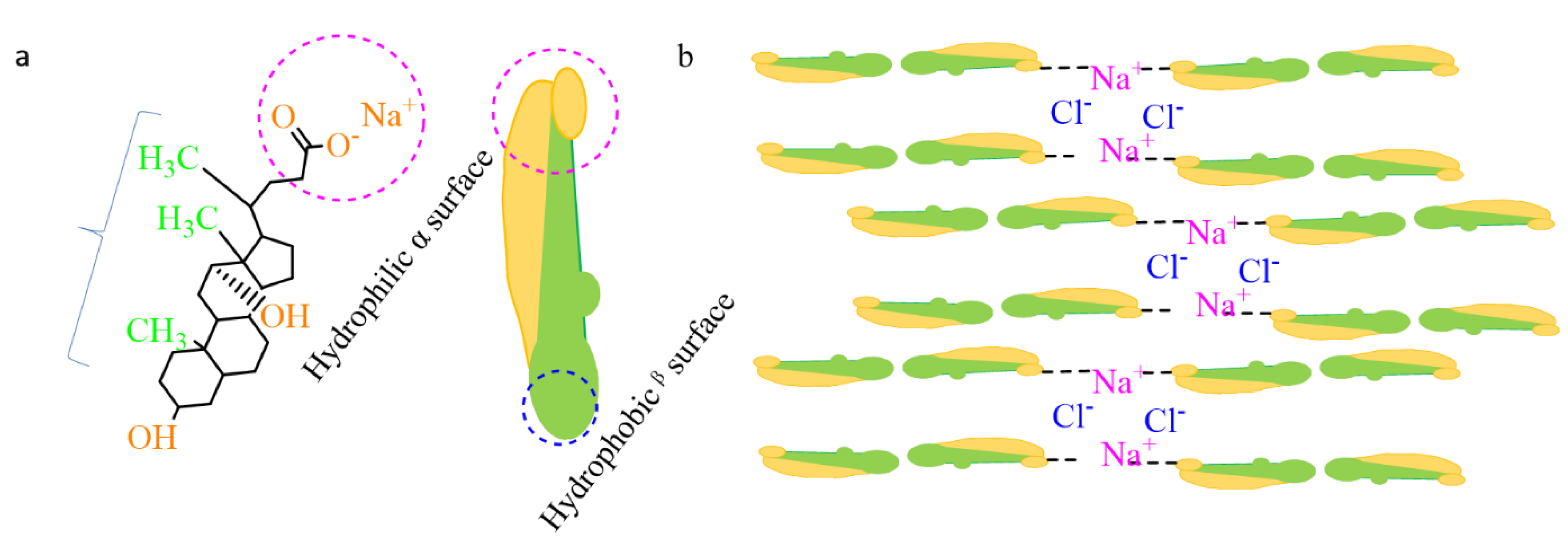Pharmaceutics 12 01069 g002