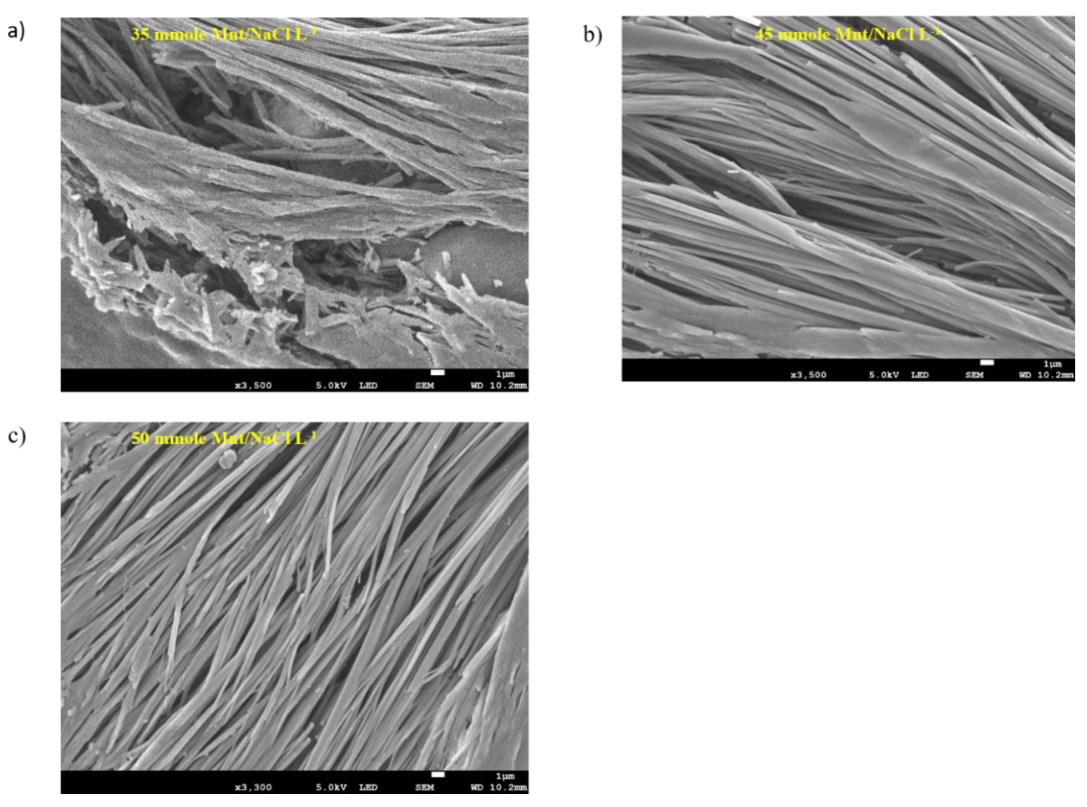 Pharmaceutics 12 01069 g006