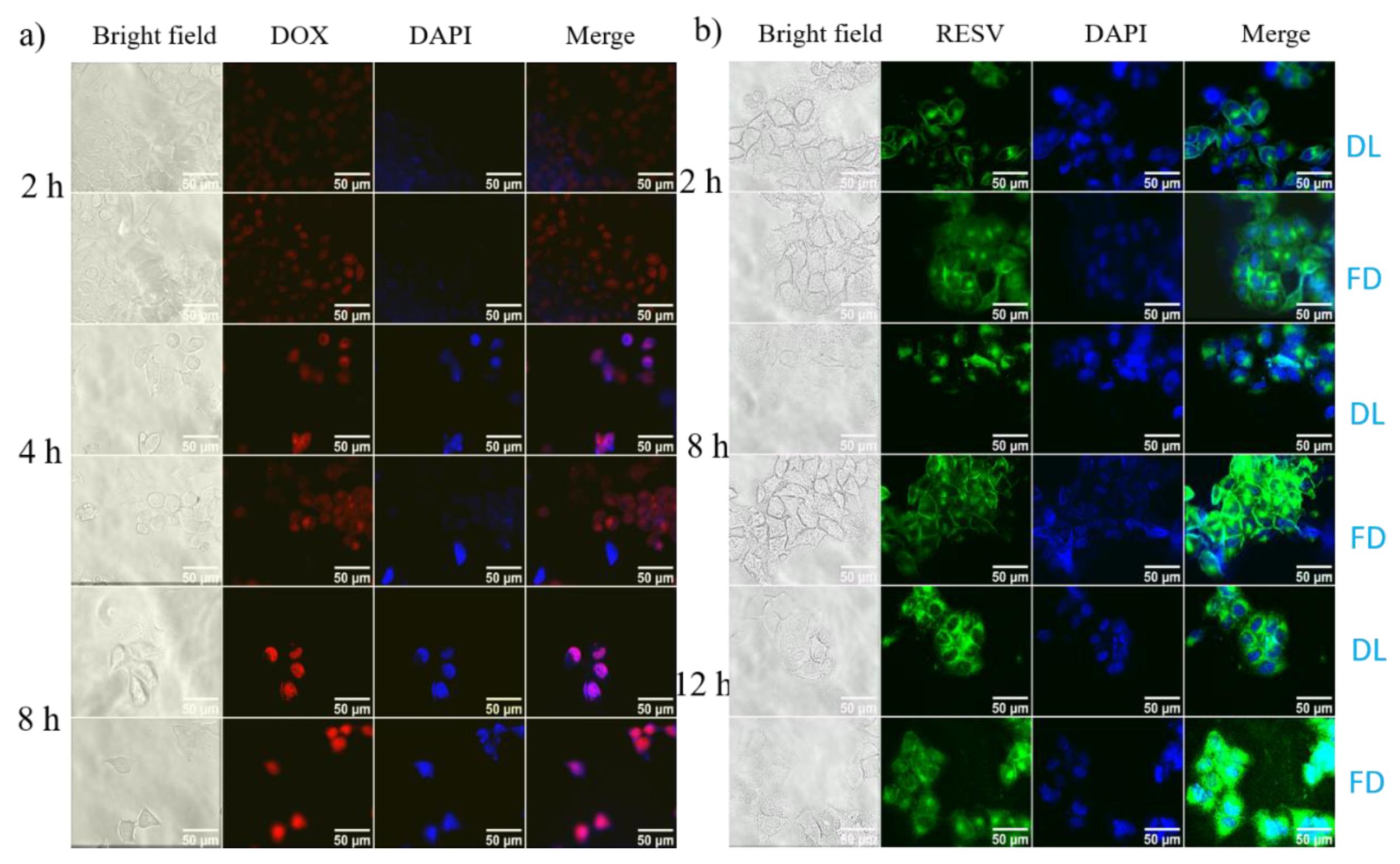 Pharmaceutics 12 01069 g009