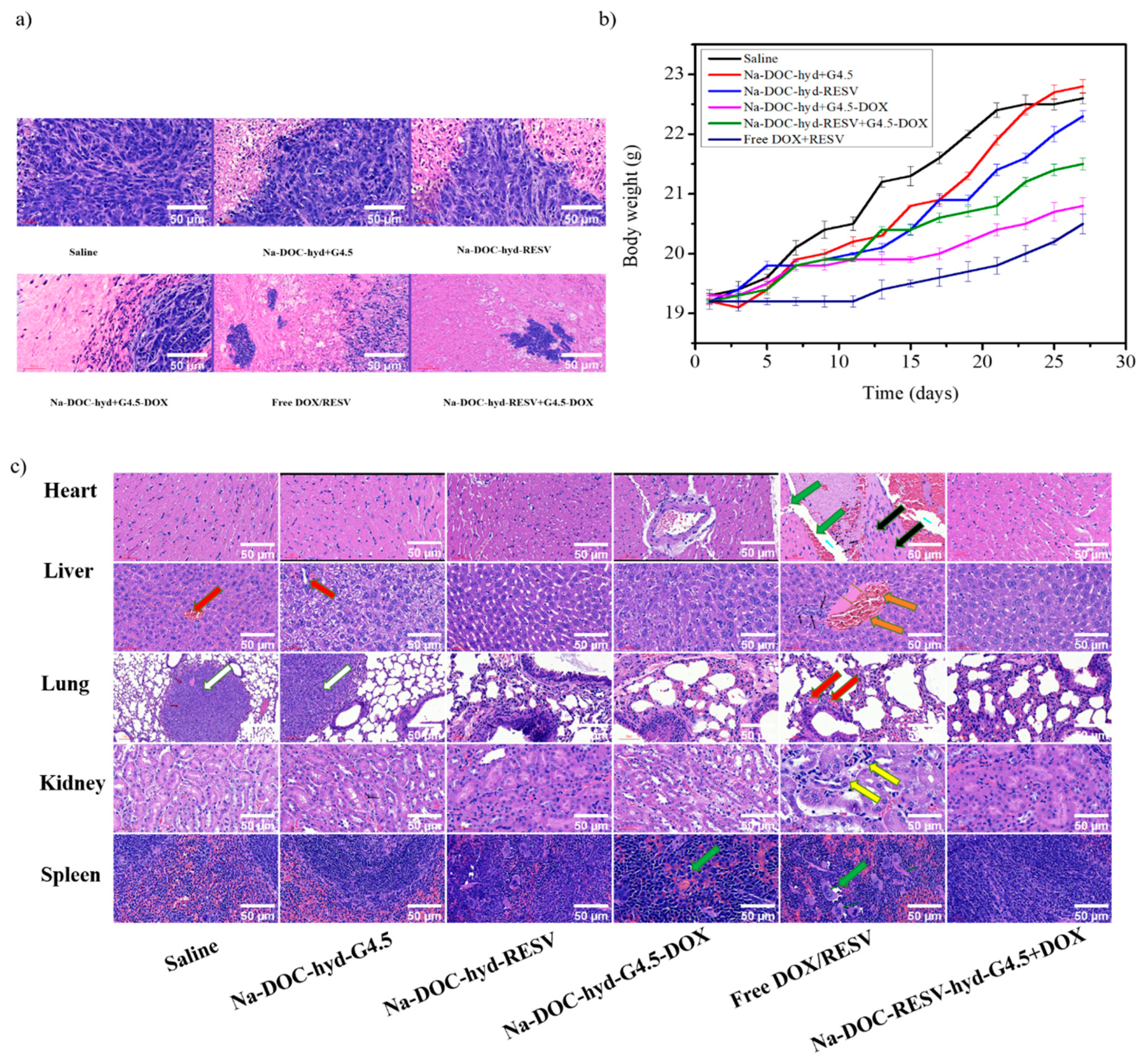 Pharmaceutics 12 01069 g011