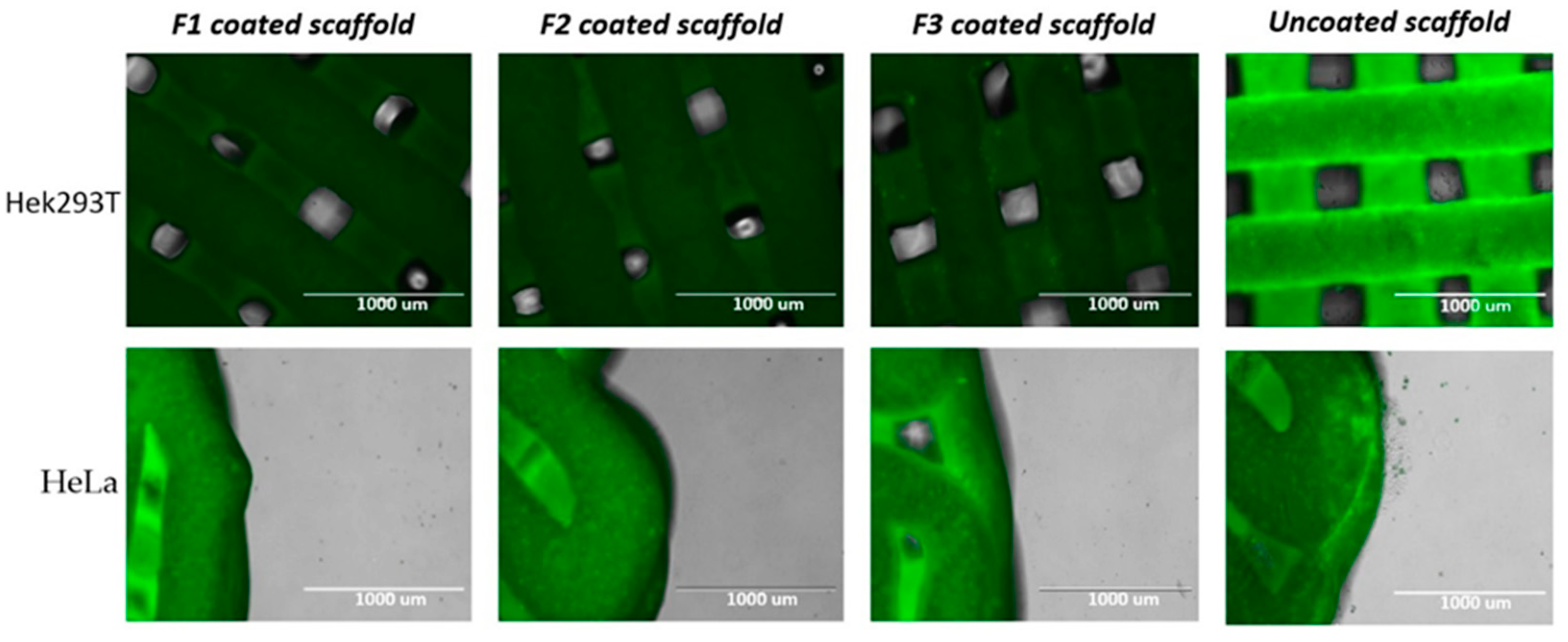 Pharmaceutics 12 01077 g010