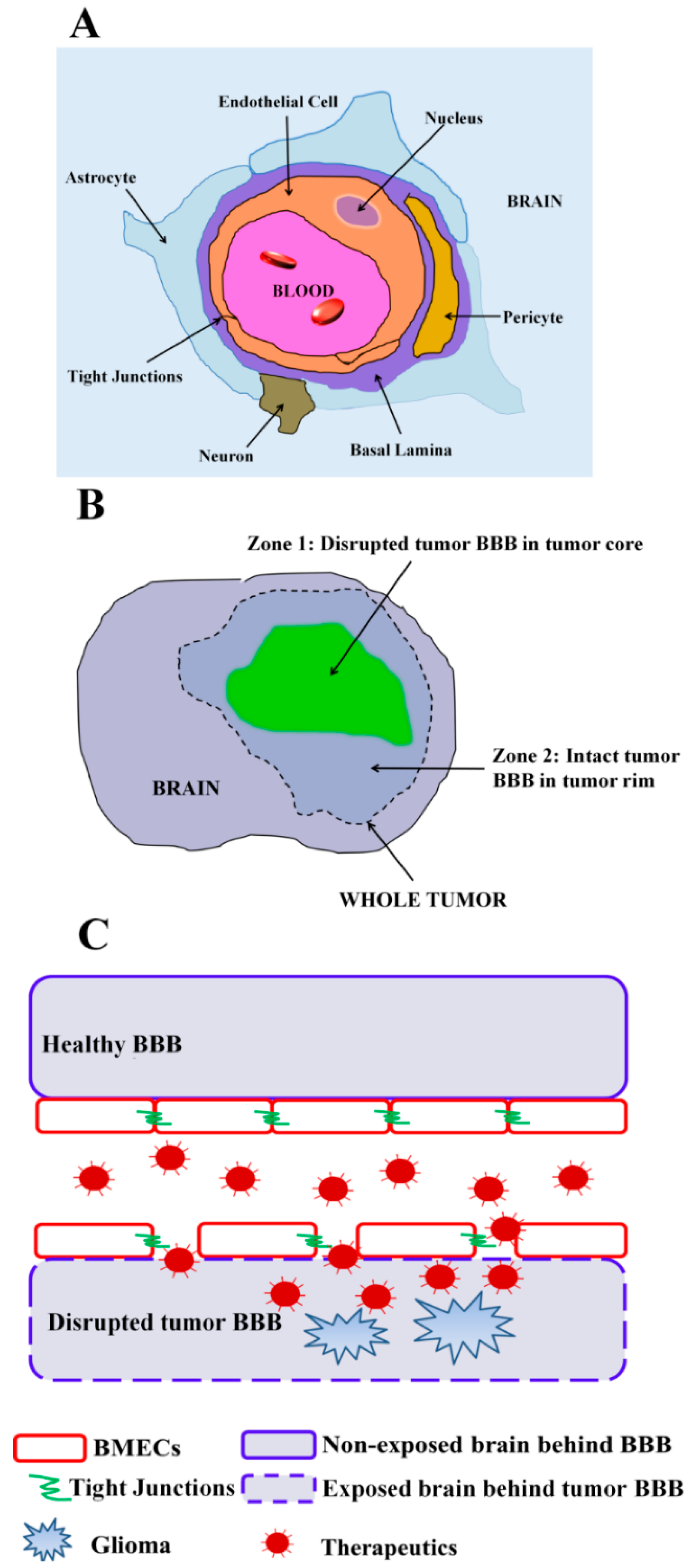 Pharmaceutics 12 01085 g001