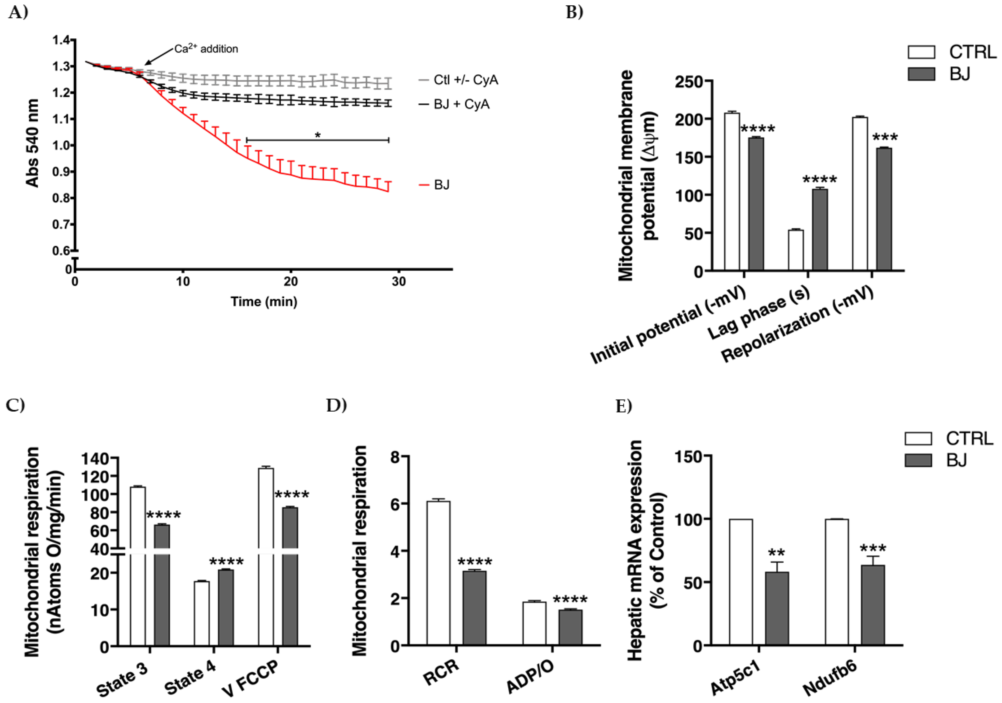 Pharmaceutics 12 01094 g004