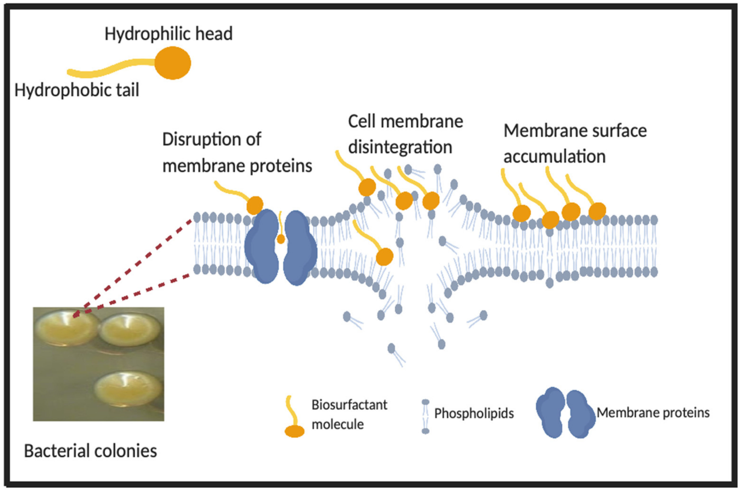 Pharmaceutics 12 01099 g002 Pharmaceutics 12 01099 g002