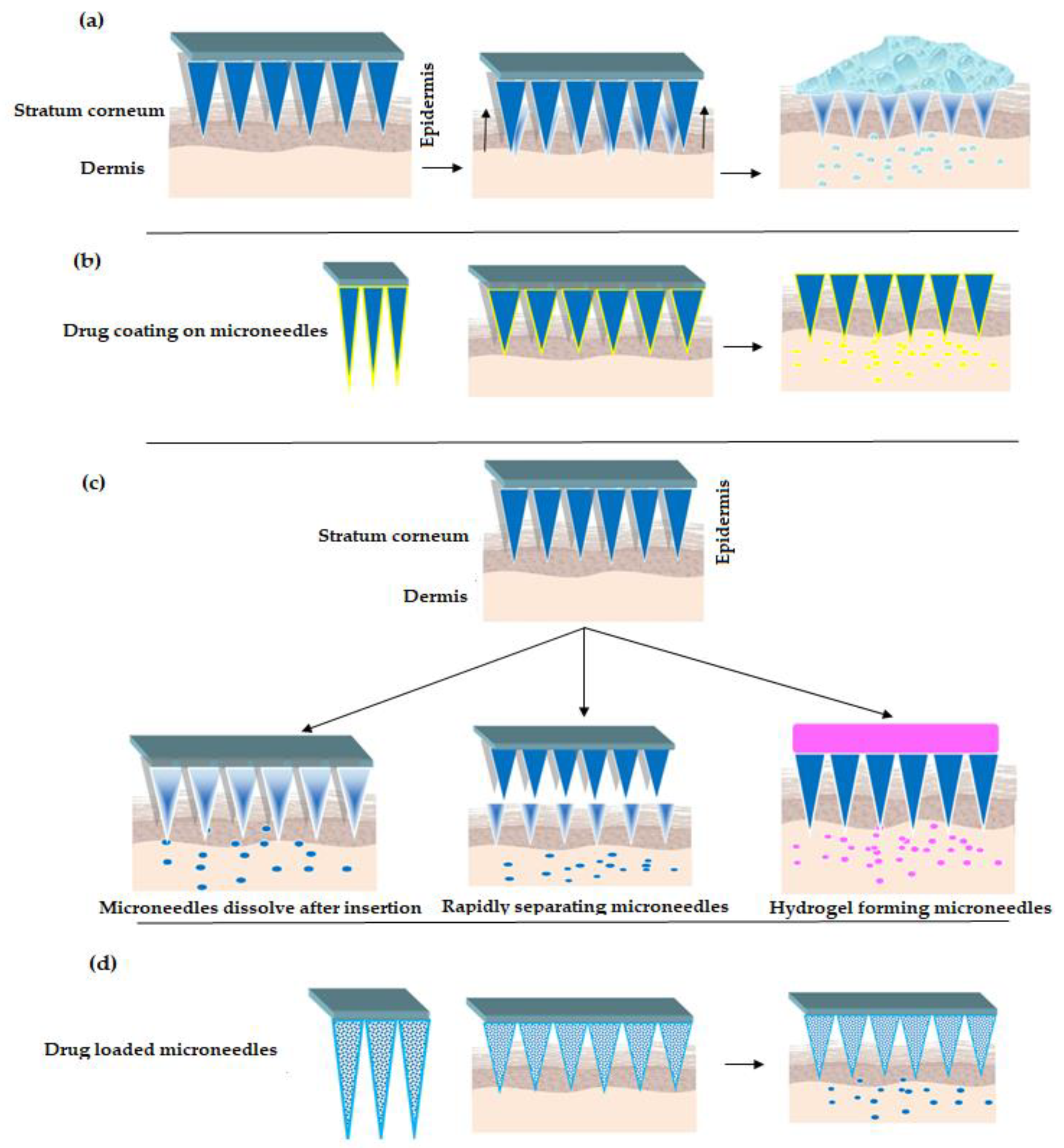 Pharmaceutics 12 01101 g002