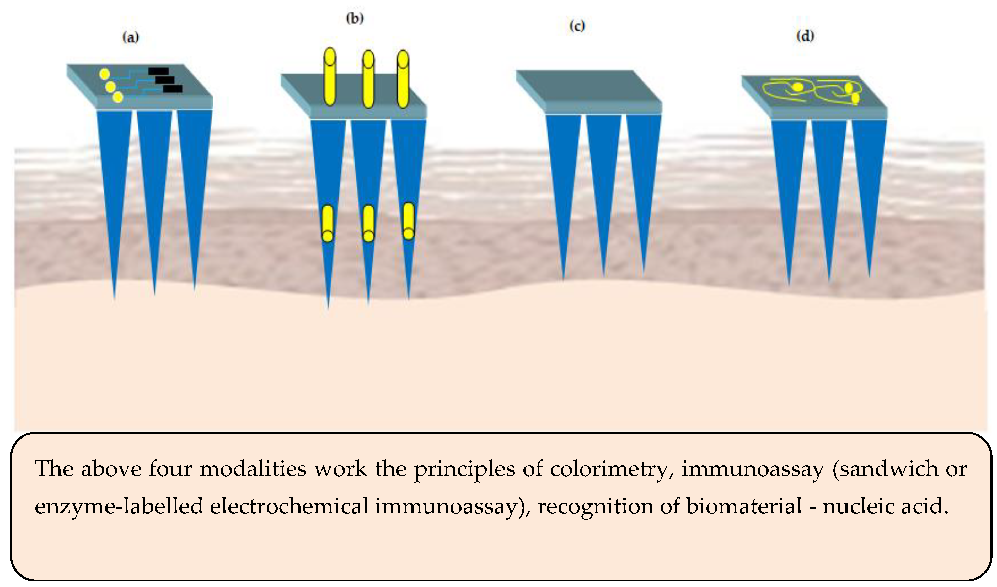 Pharmaceutics 12 01101 g005