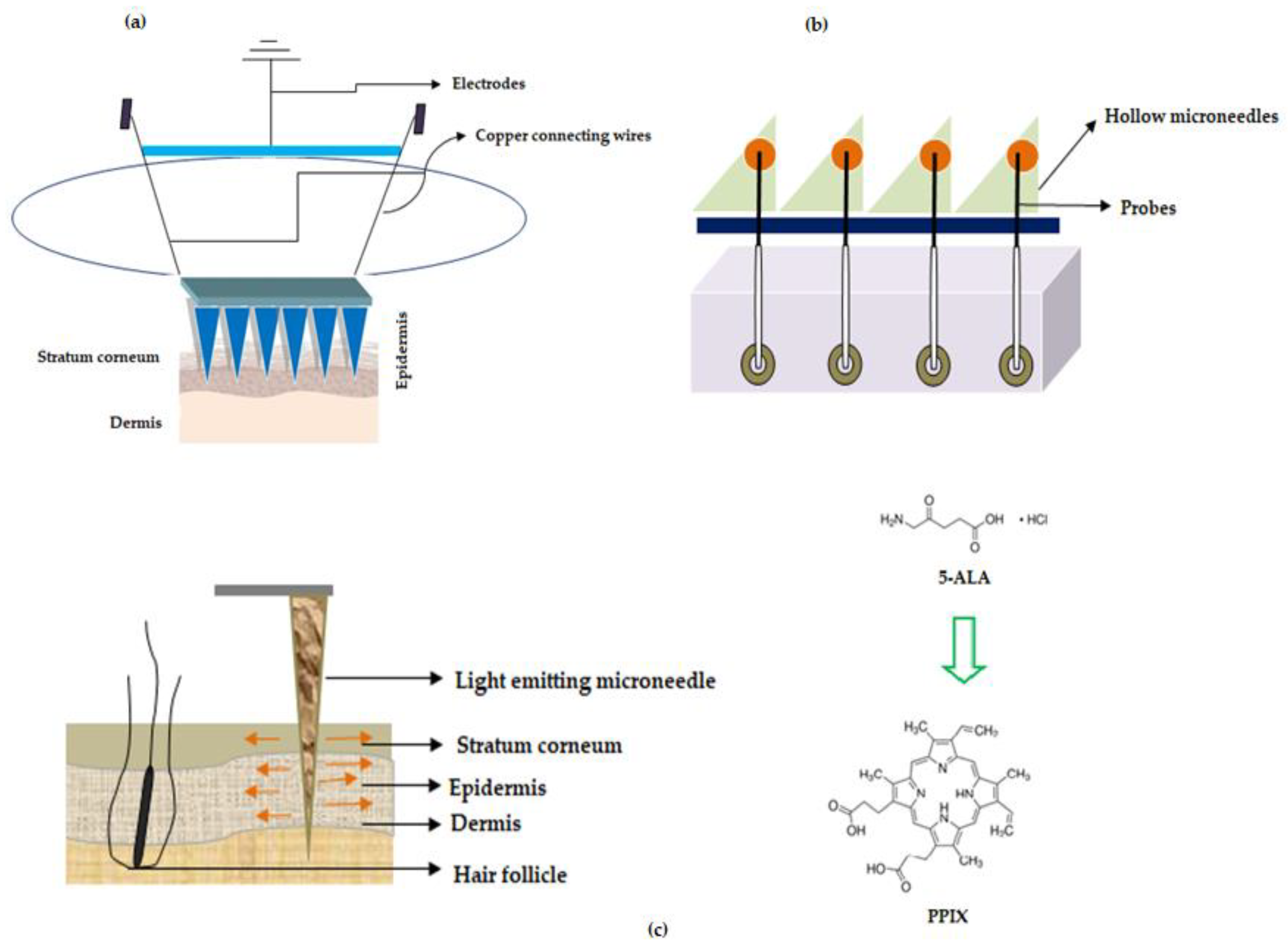 Pharmaceutics 12 01101 g006