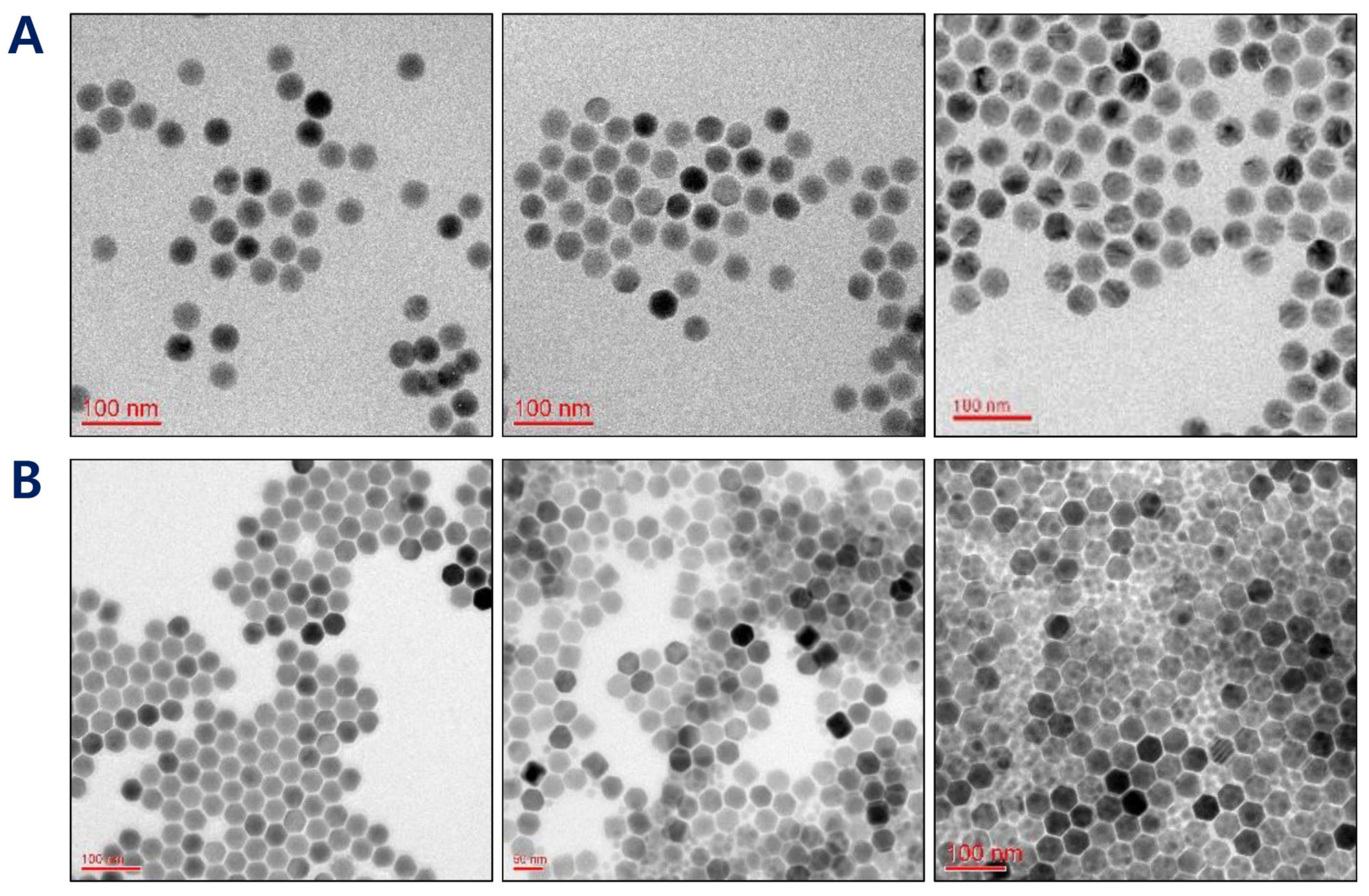 Pharmaceutics 12 01102 g002