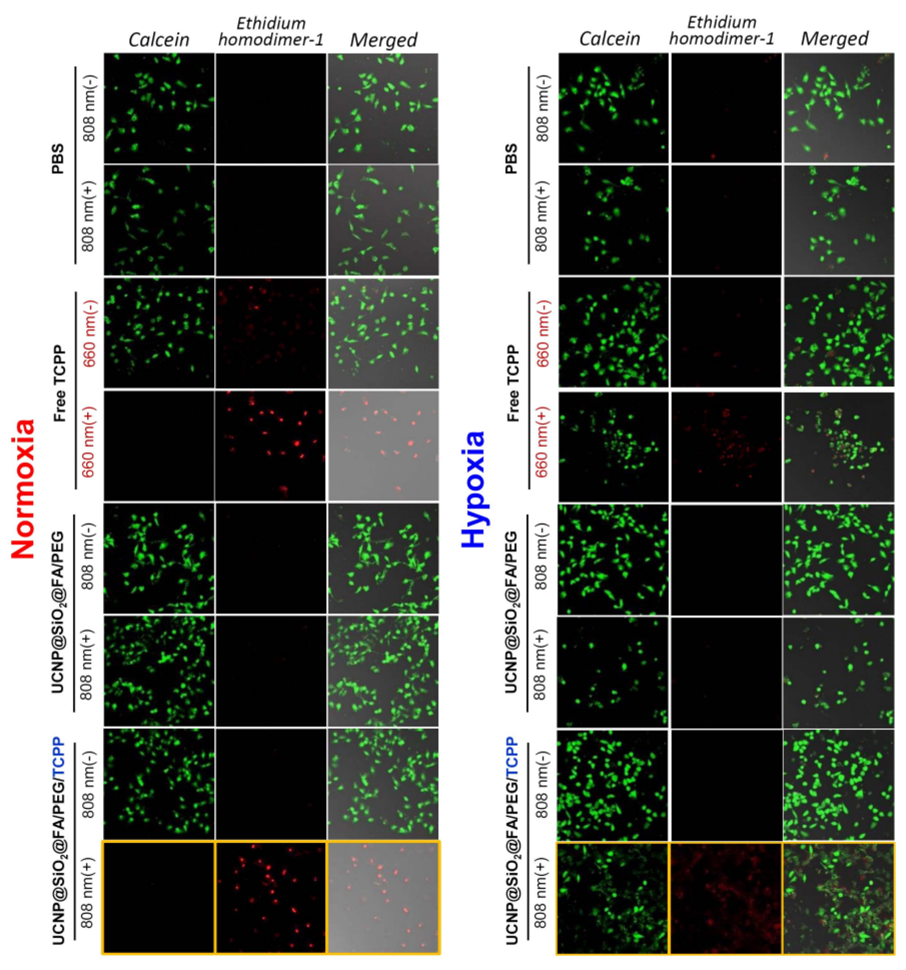 Pharmaceutics 12 01102 g007