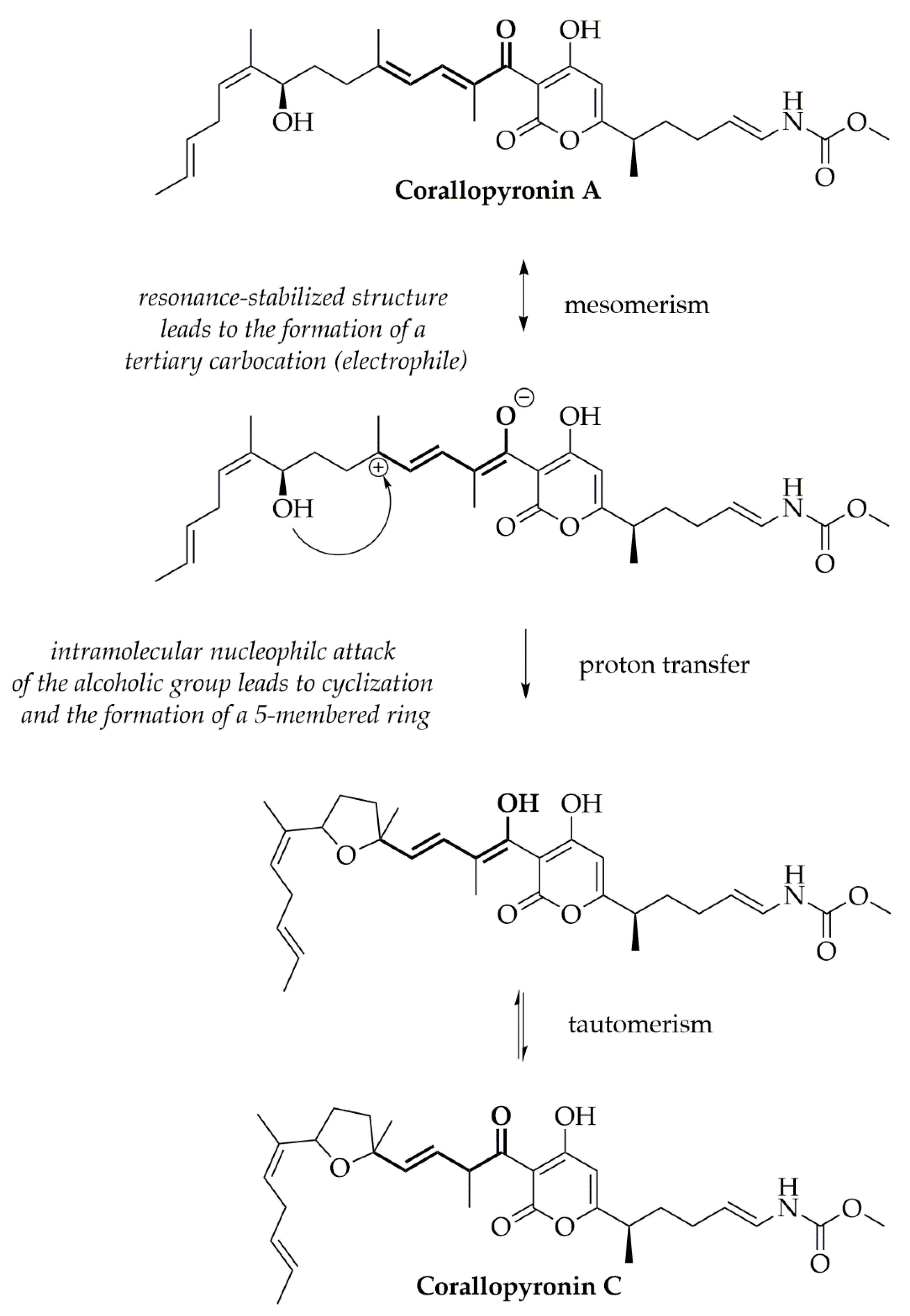 Pharmaceutics 12 01105 g009