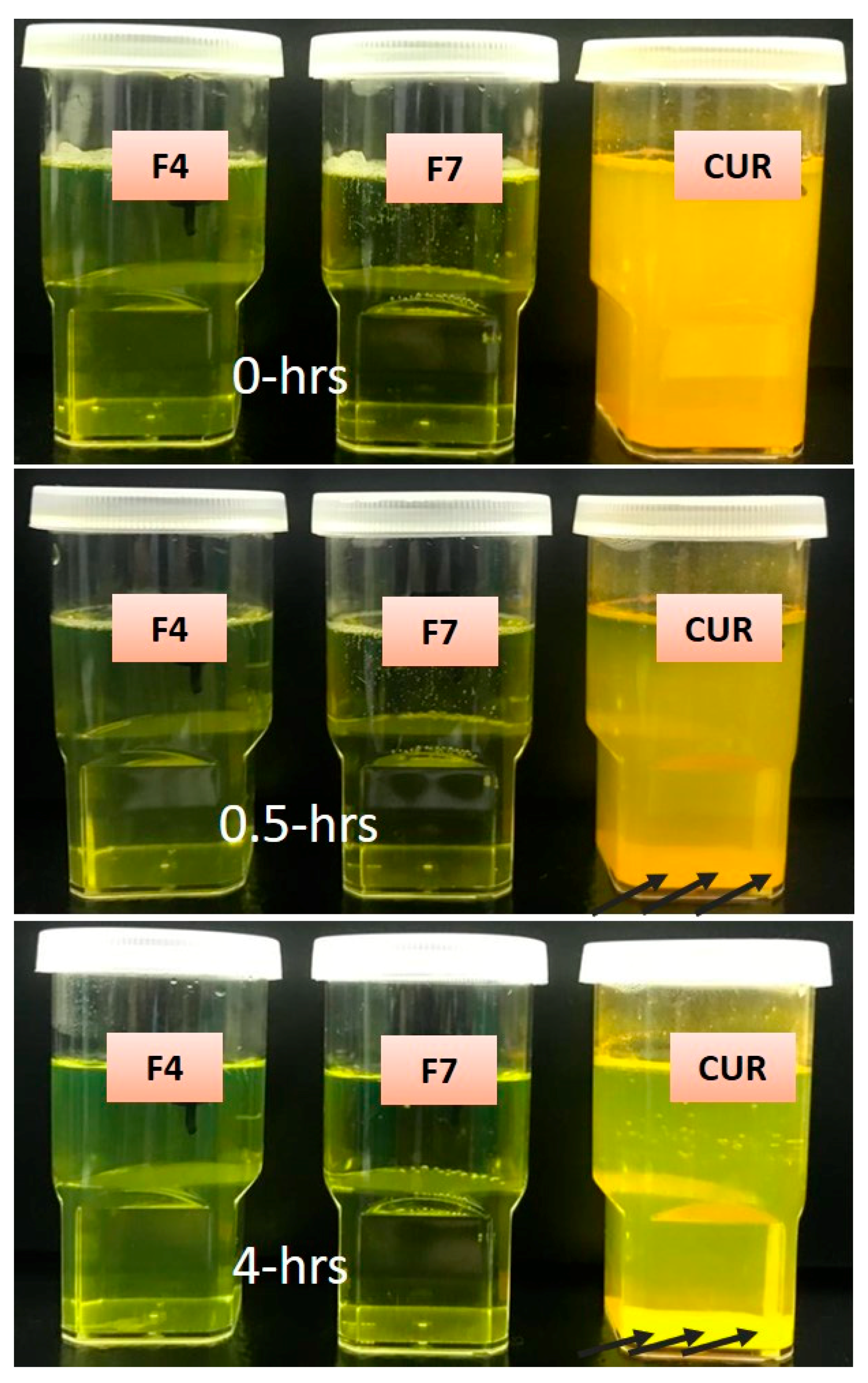 Pharmaceutics 12 01107 g005