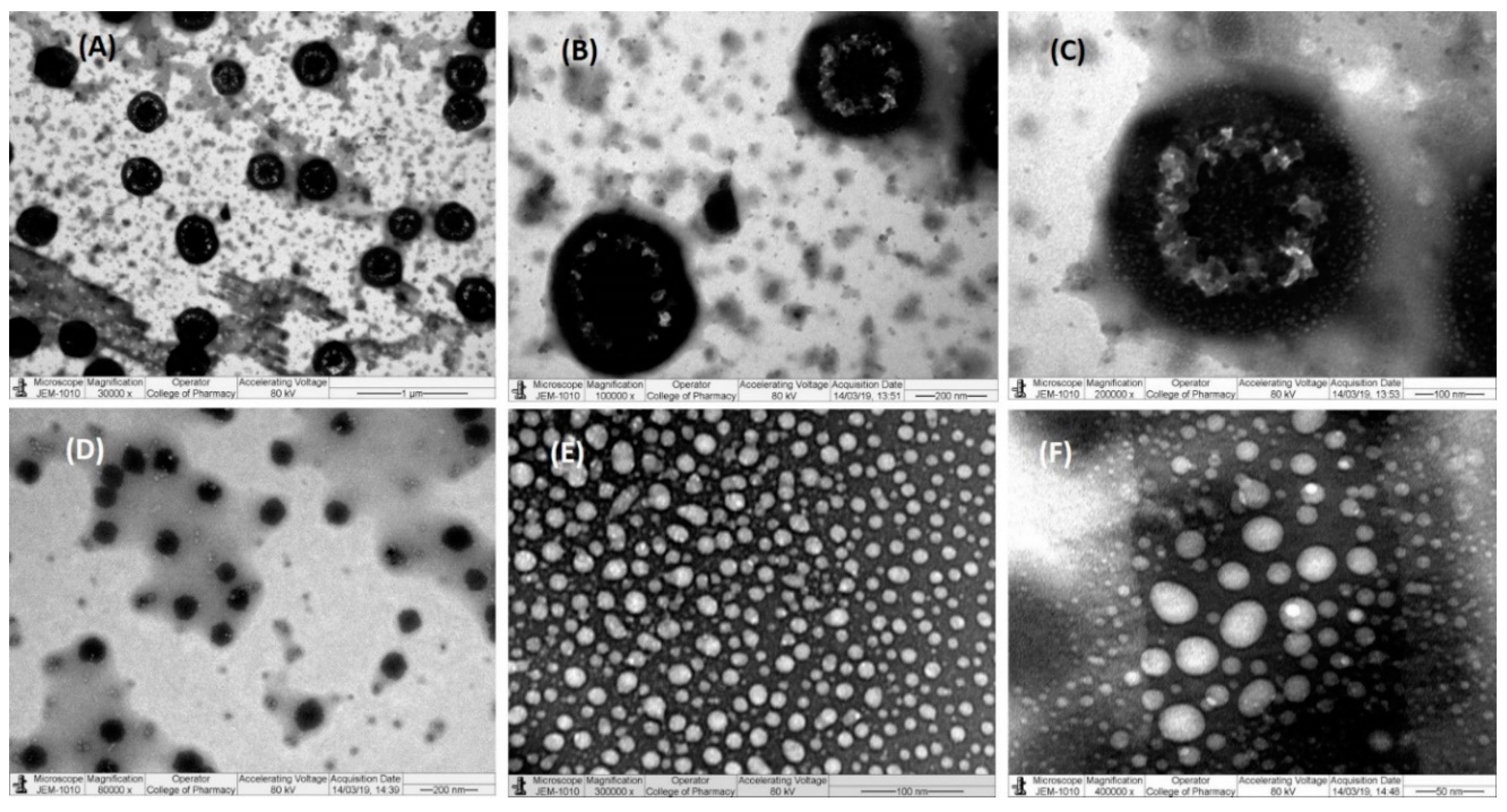 Pharmaceutics 12 01107 g006