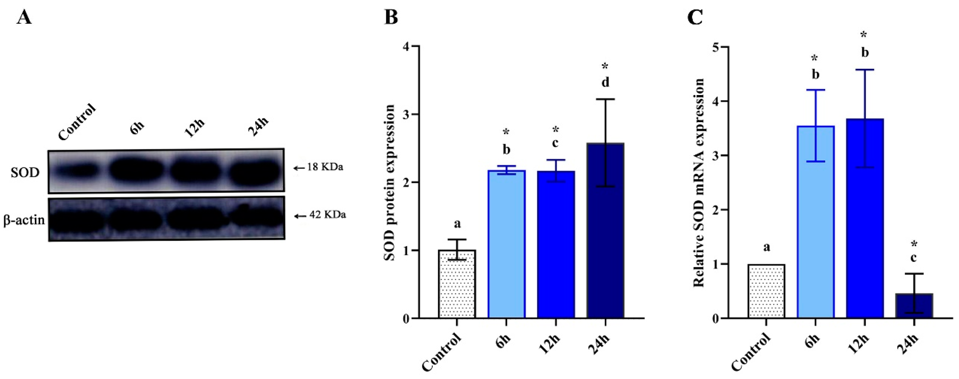 Pharmaceutics 12 01111 g002 Pharmaceutics 12 01111 g002