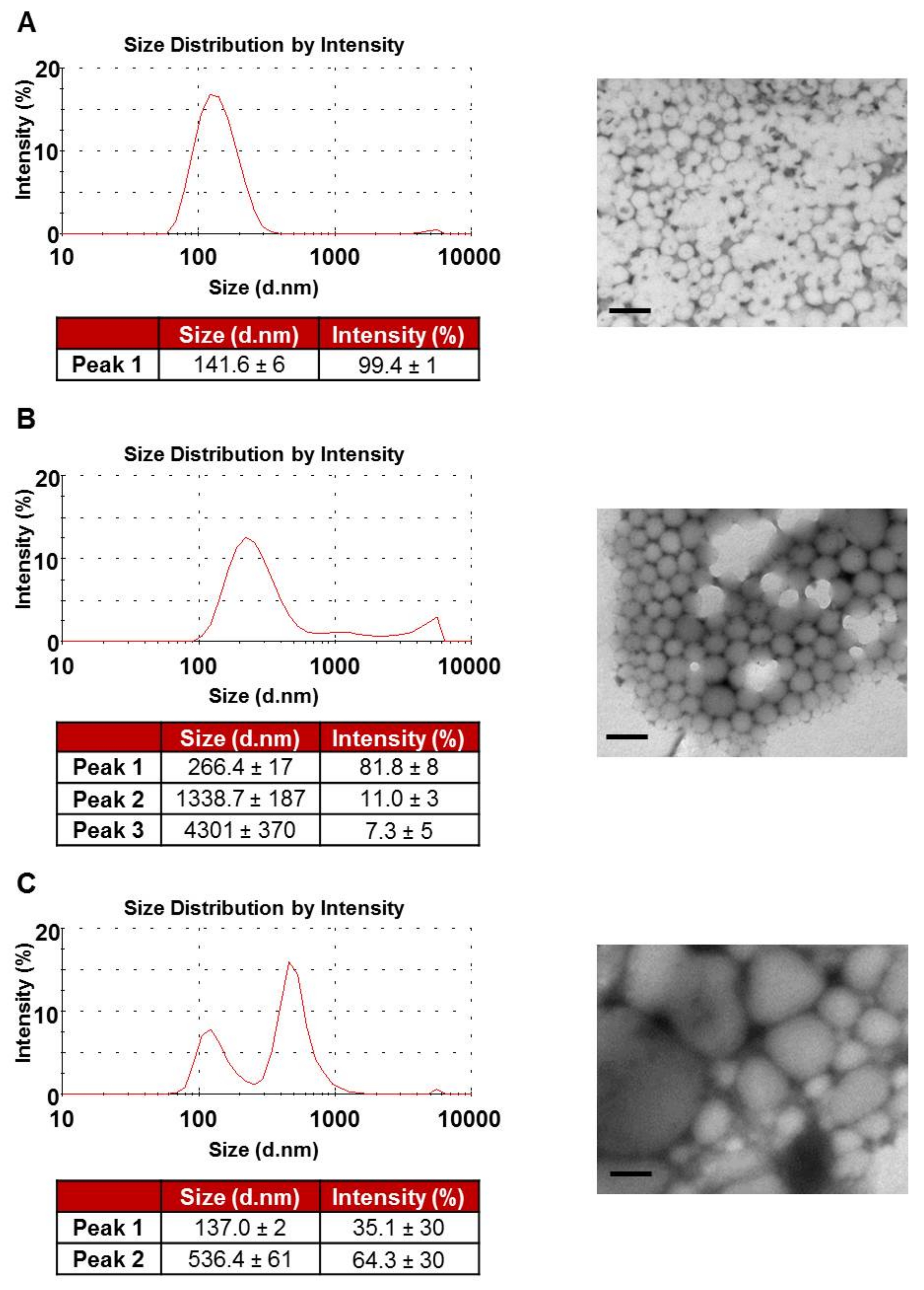 Pharmaceutics 12 01114 g004