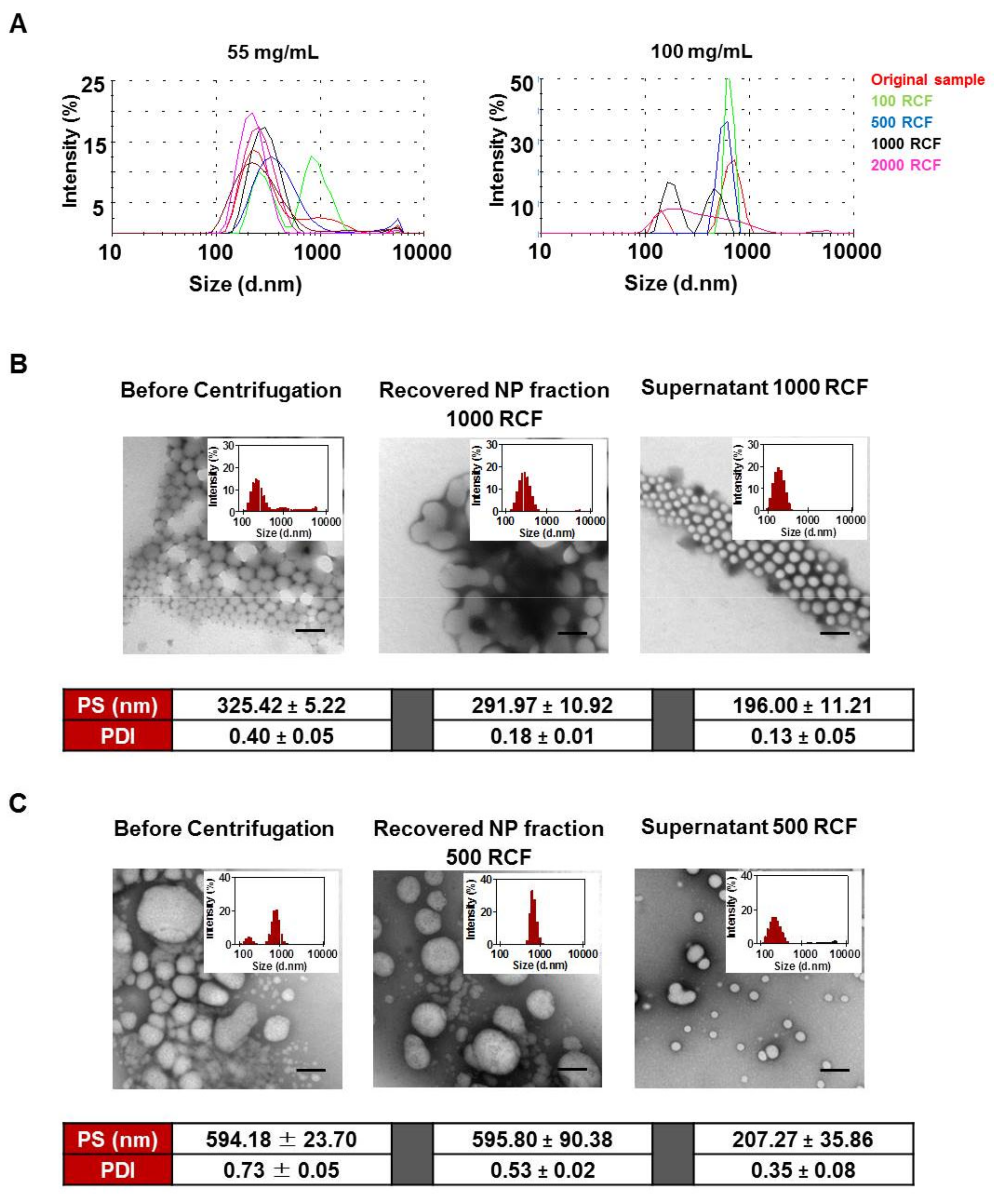 Pharmaceutics 12 01114 g005