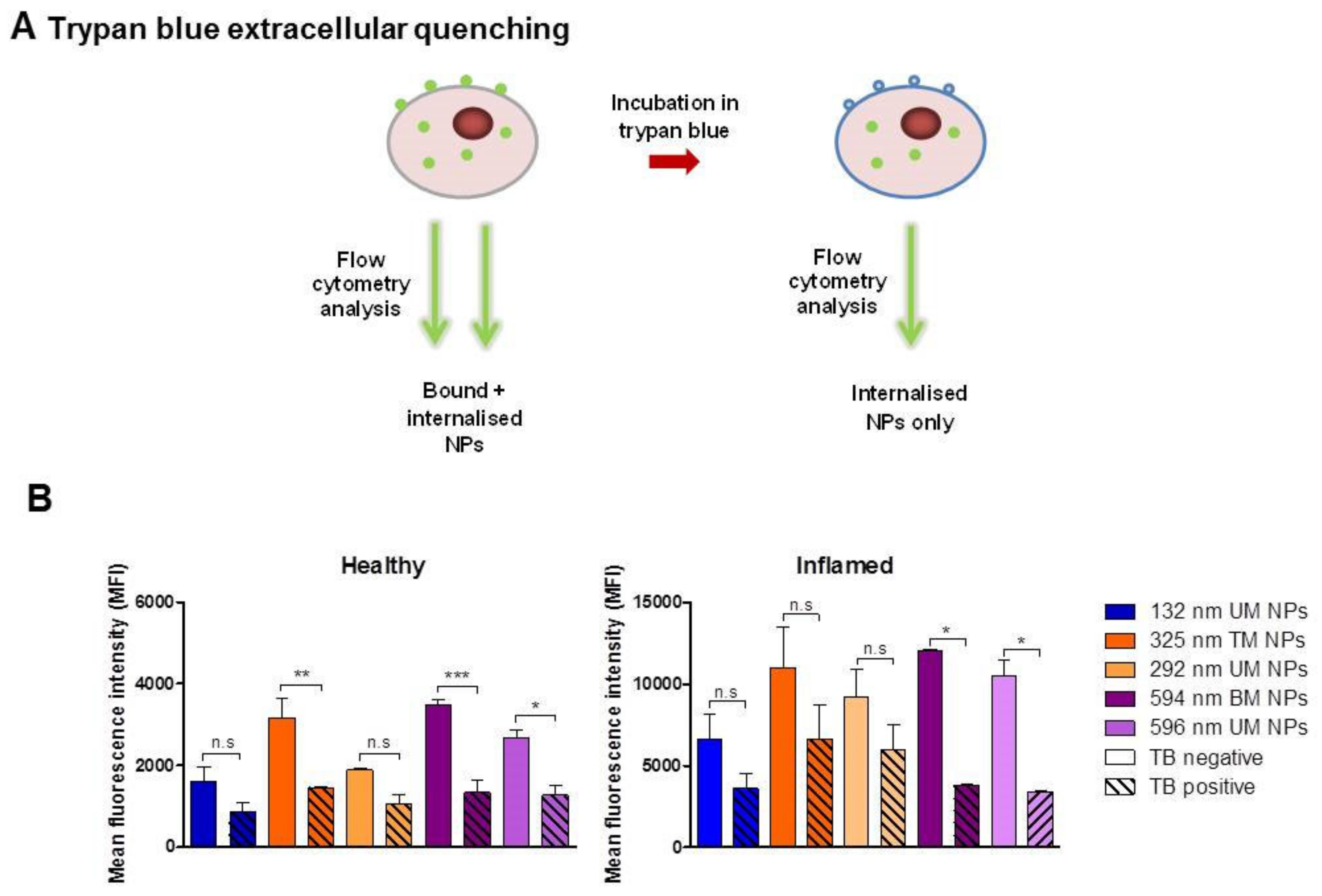 Pharmaceutics 12 01114 g008