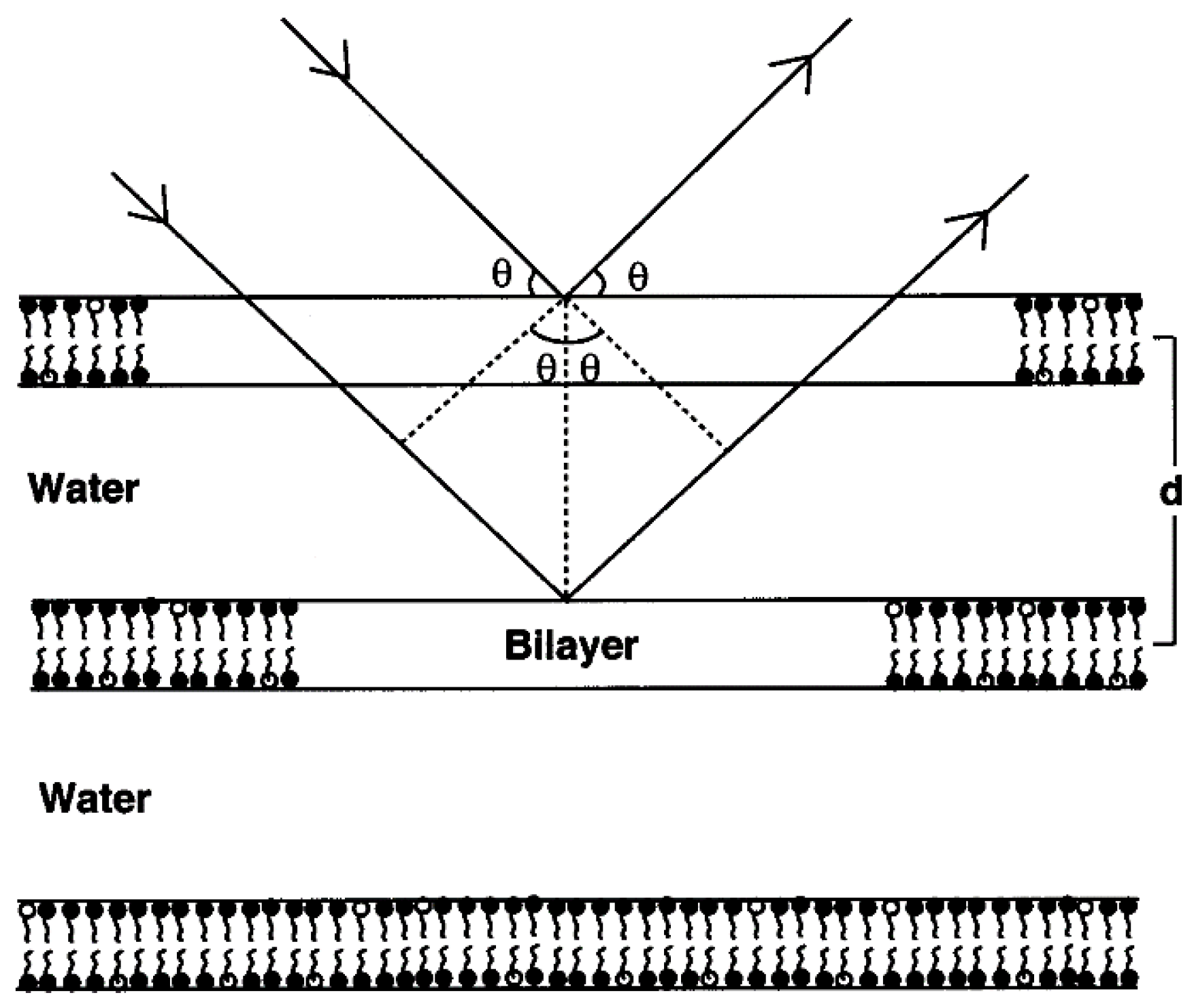 Pharmaceutics 12 01117 g004