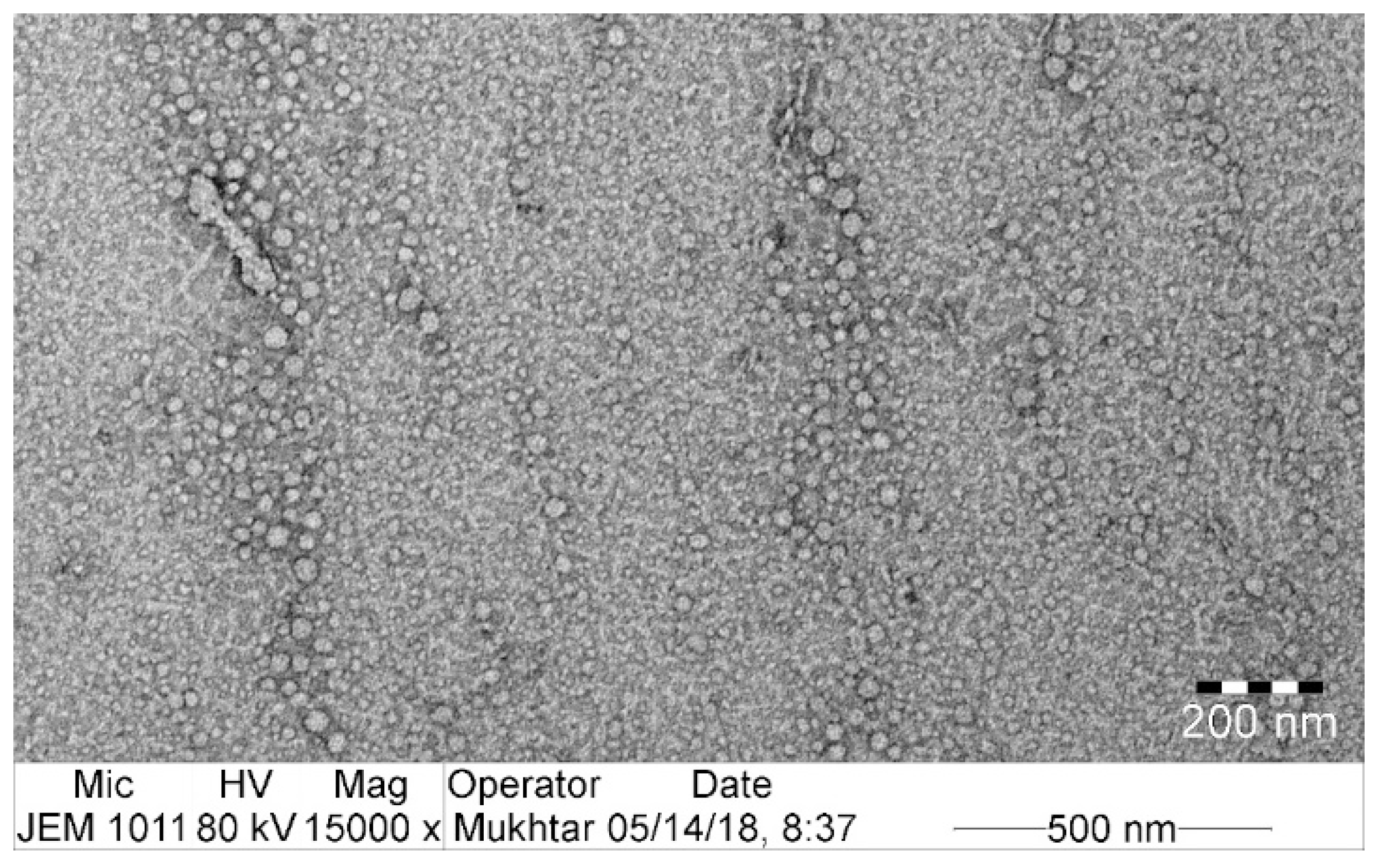 Pharmaceutics 12 01124 g003