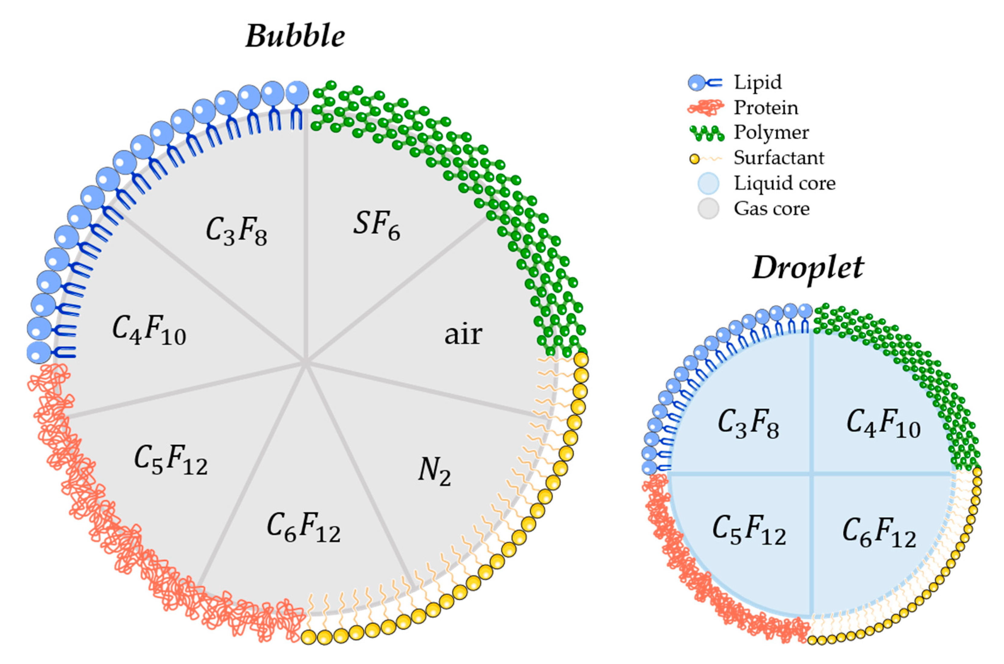 Pharmaceutics 12 01125 g004