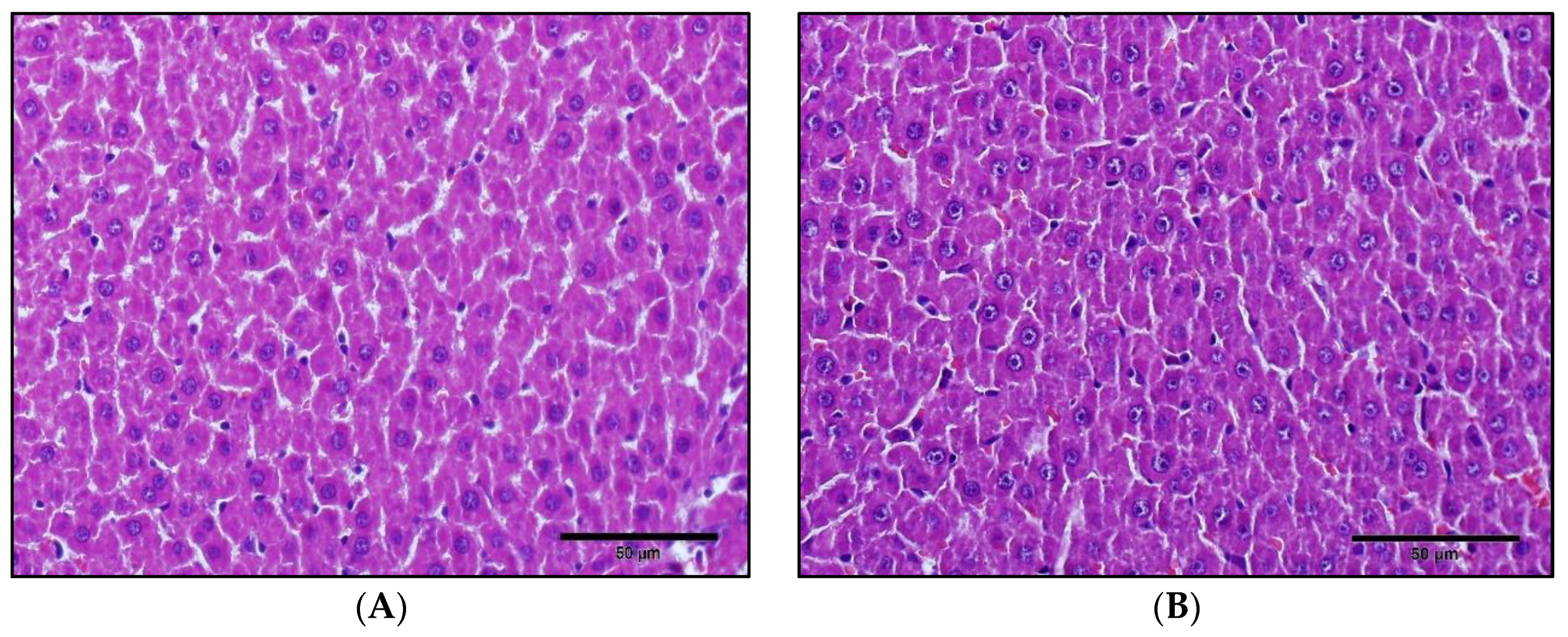 Pharmaceutics 12 01129 g001