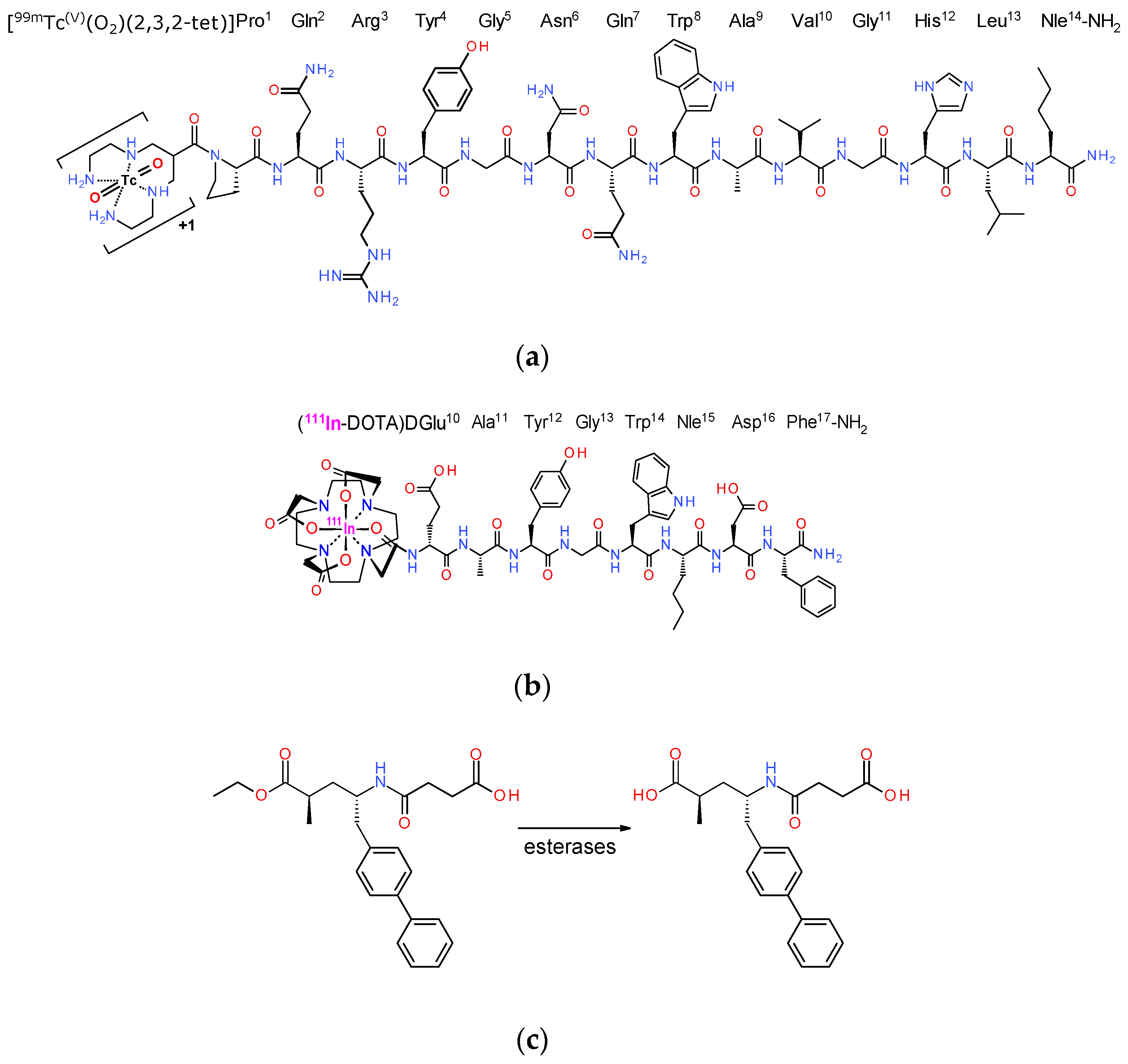 Pharmaceutics 12 01145 g001