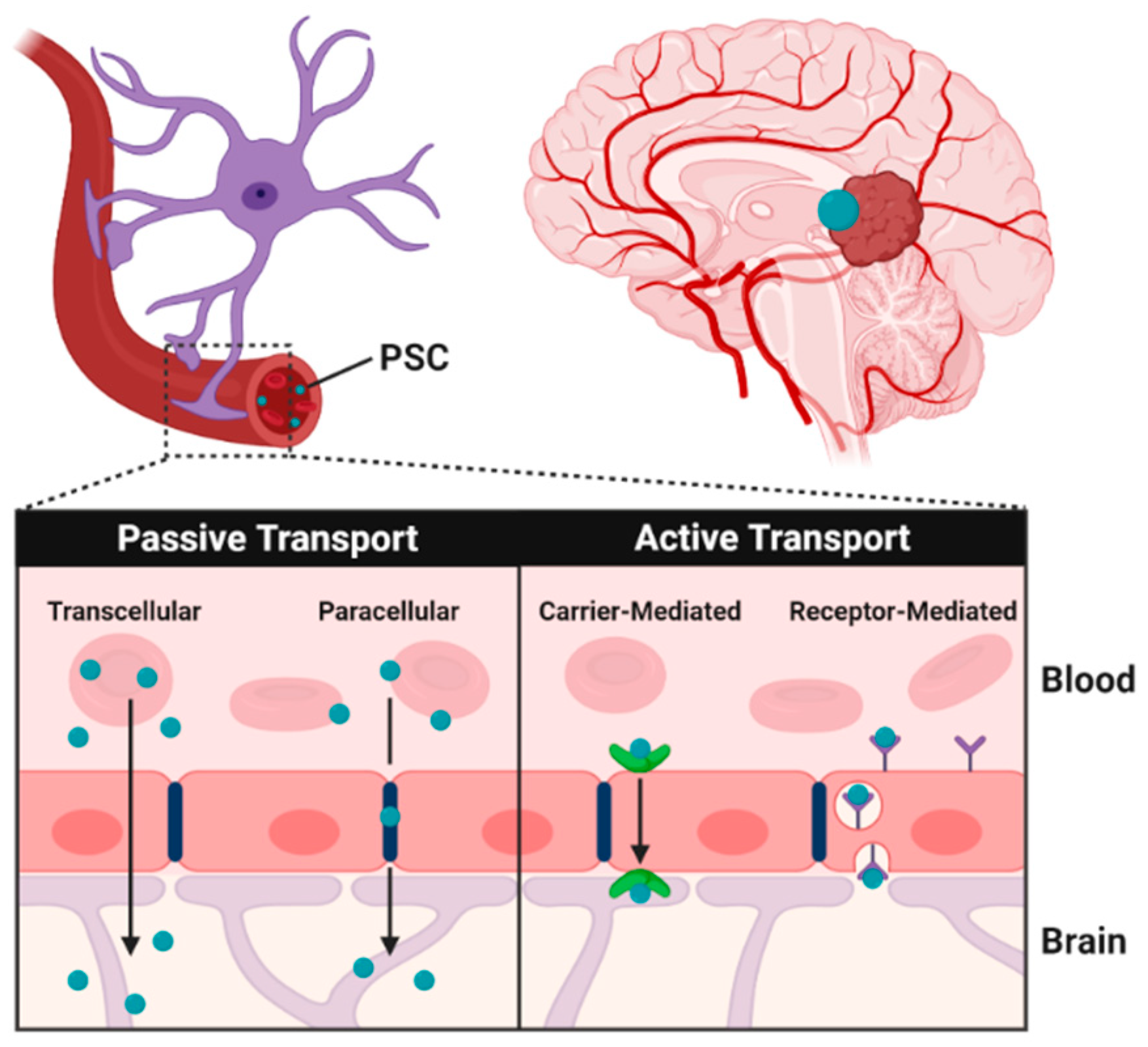 Pharmaceutics 12 01183 g002