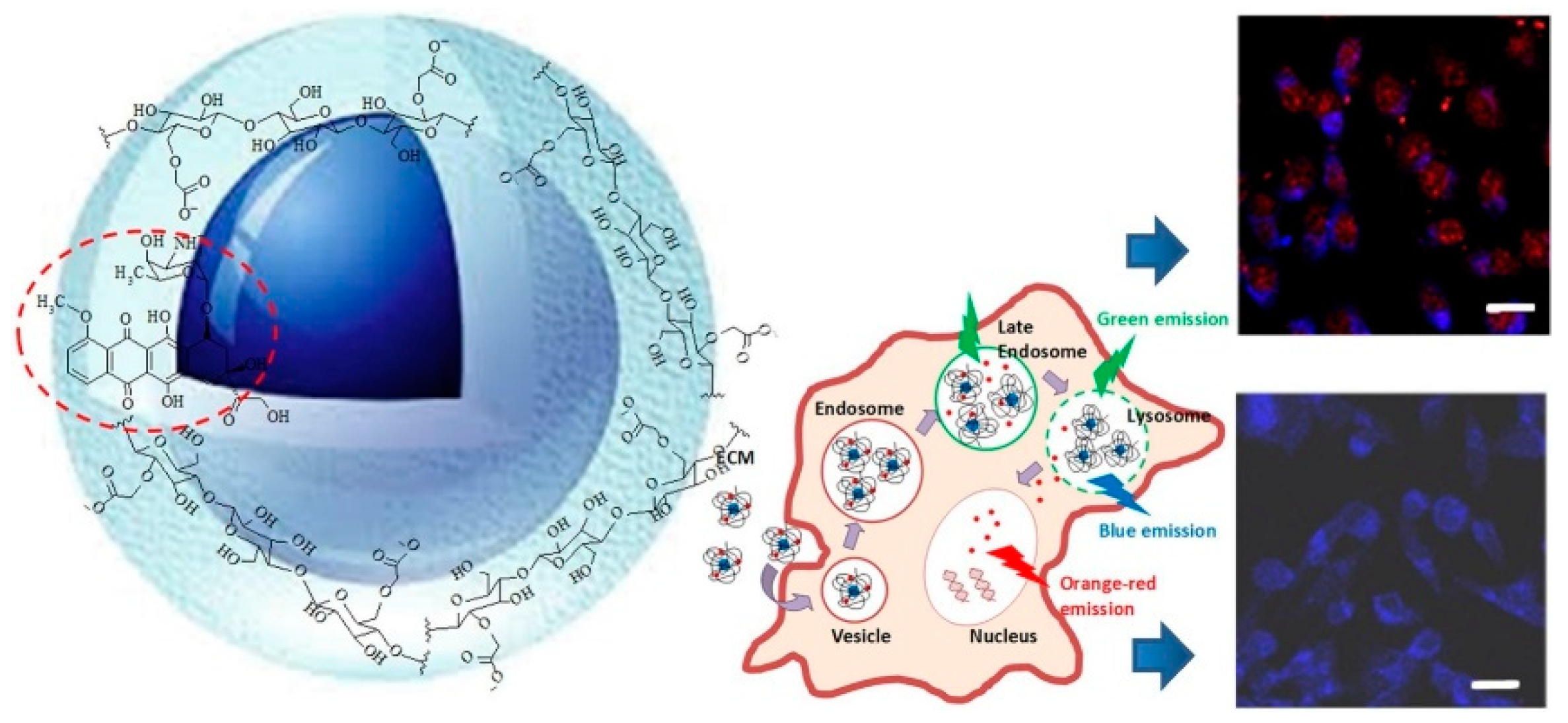 Pharmaceutics 12 01183 g003