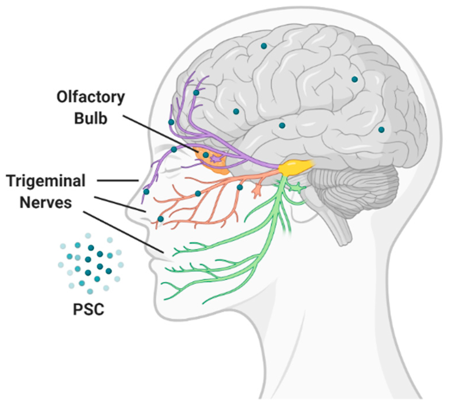 Pharmaceutics 12 01183 g007