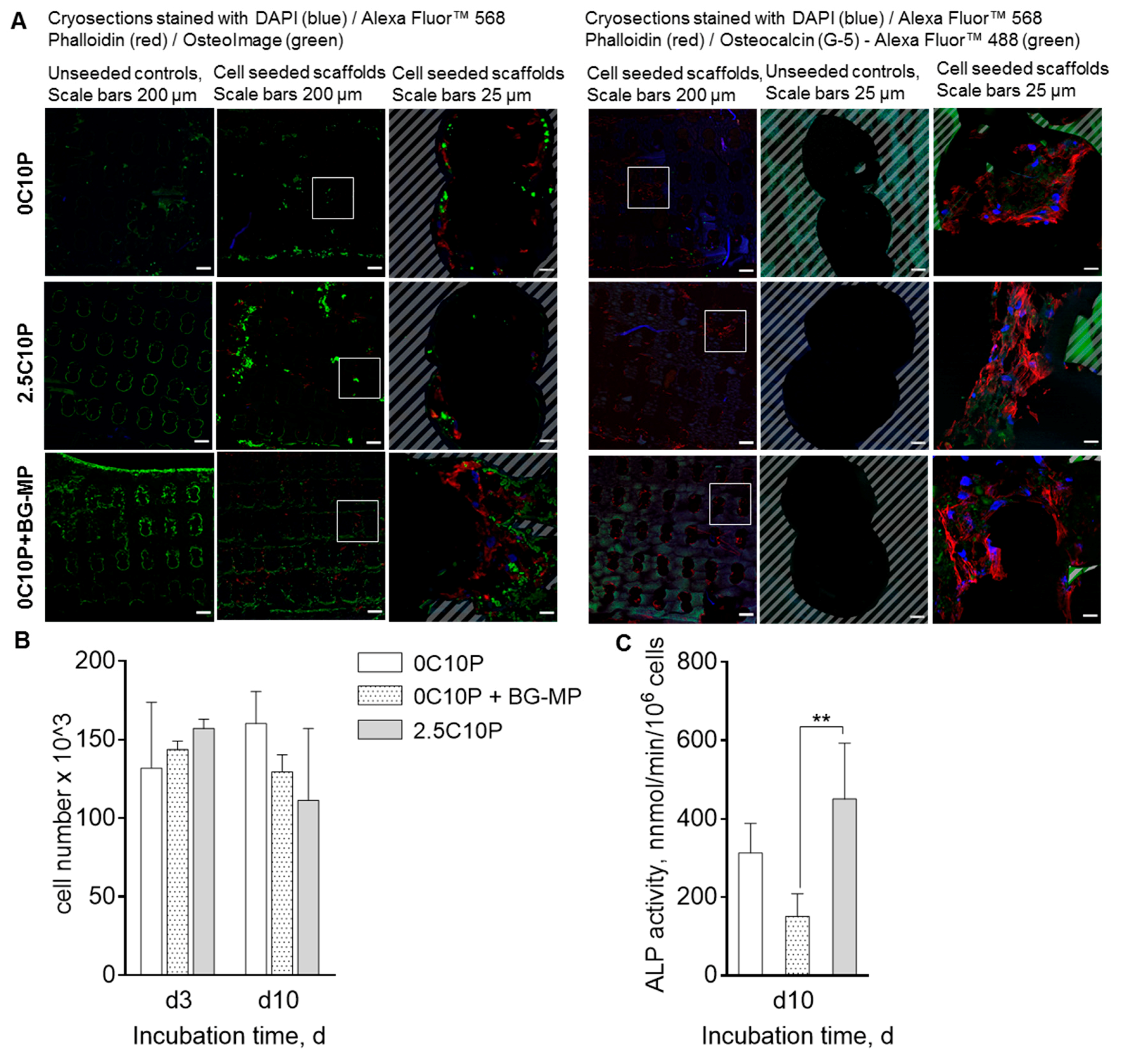 Pharmaceutics 12 01192 g007
