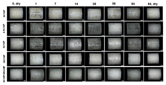 Pharmaceutics 12 01192 g0a6