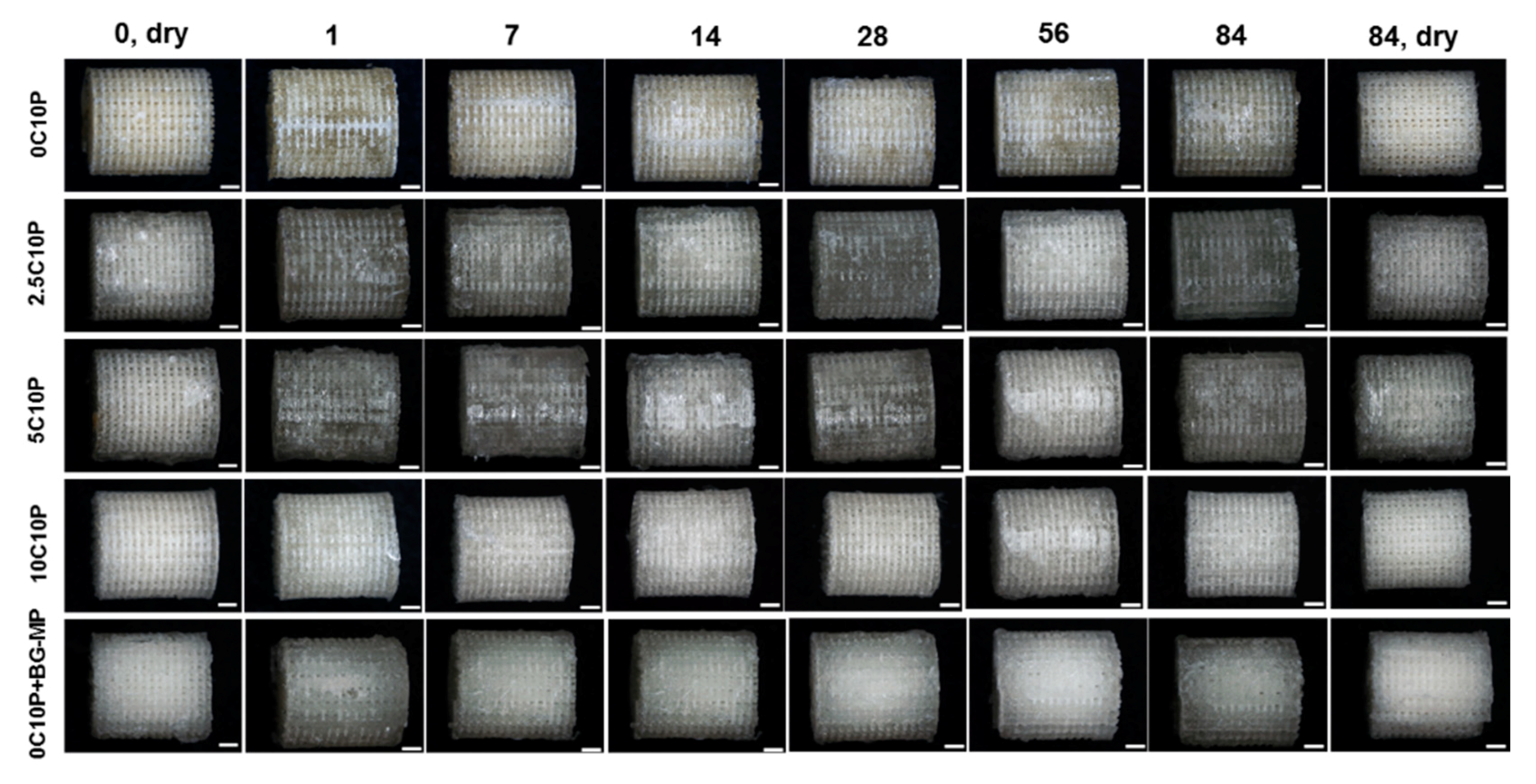 Pharmaceutics 12 01192 g0a6
