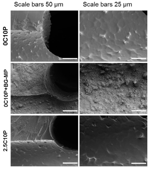 Pharmaceutics 12 01192 g0a7
