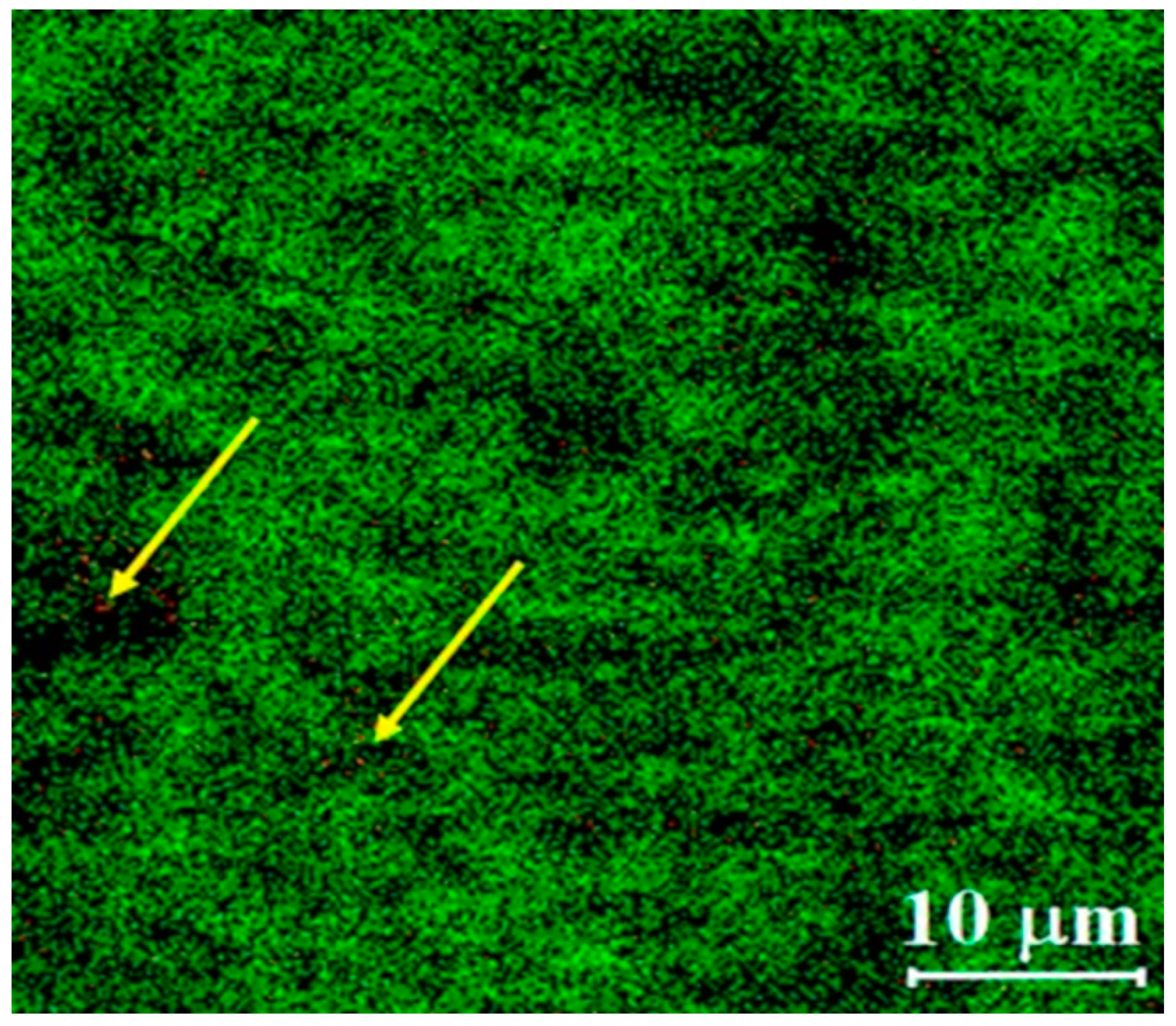 Pharmaceutics 12 01196 g006