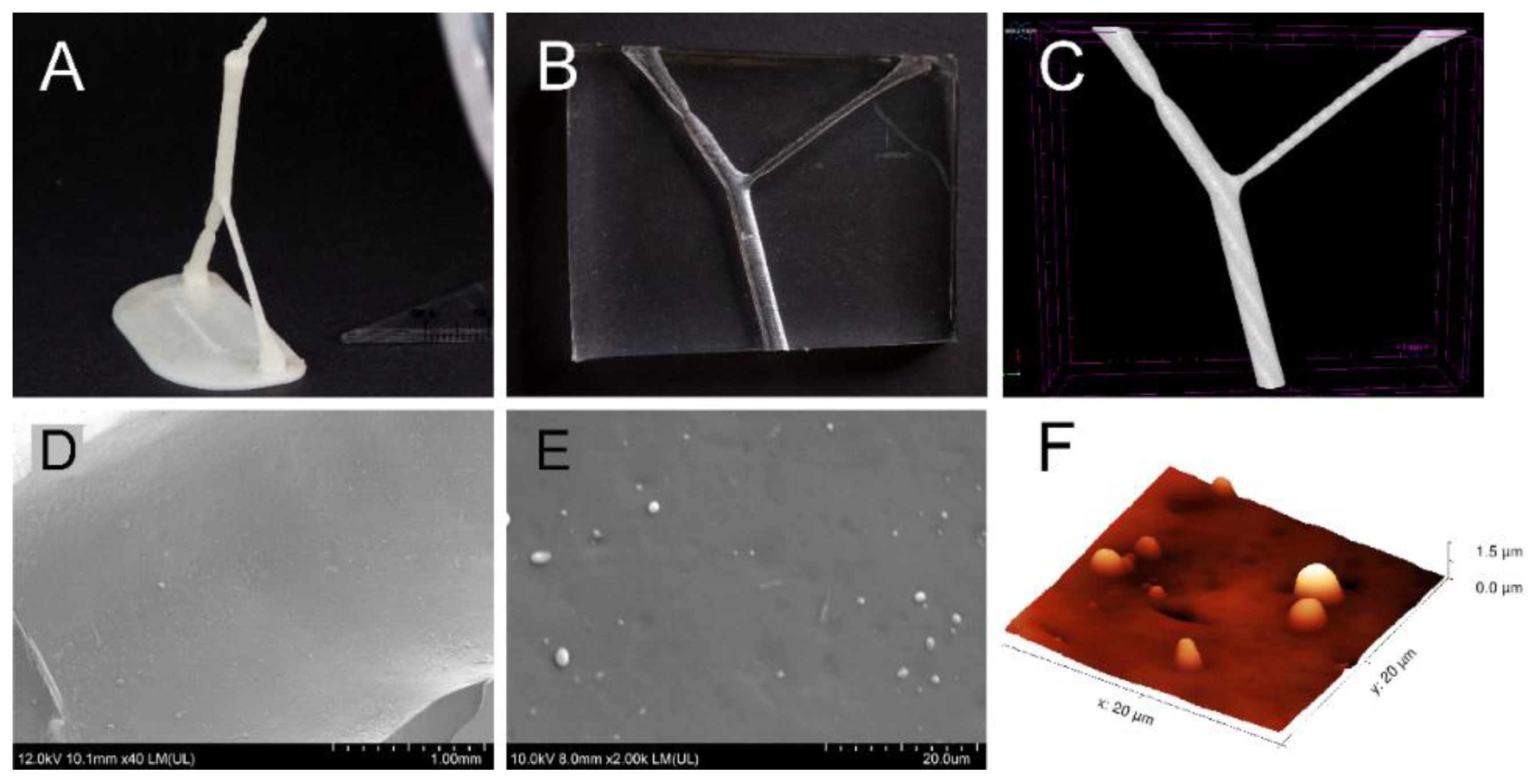 Pharmaceutics 12 01207 g002