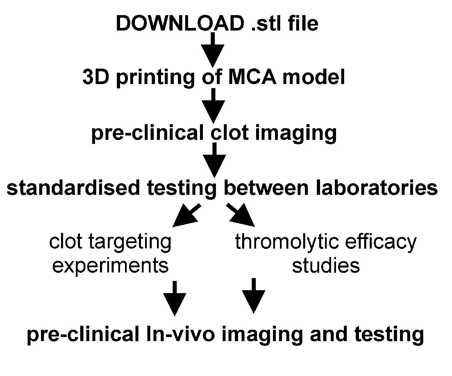 Pharmaceutics 12 01207 sch001