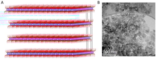 Pharmaceutics 12 01219 g0a1